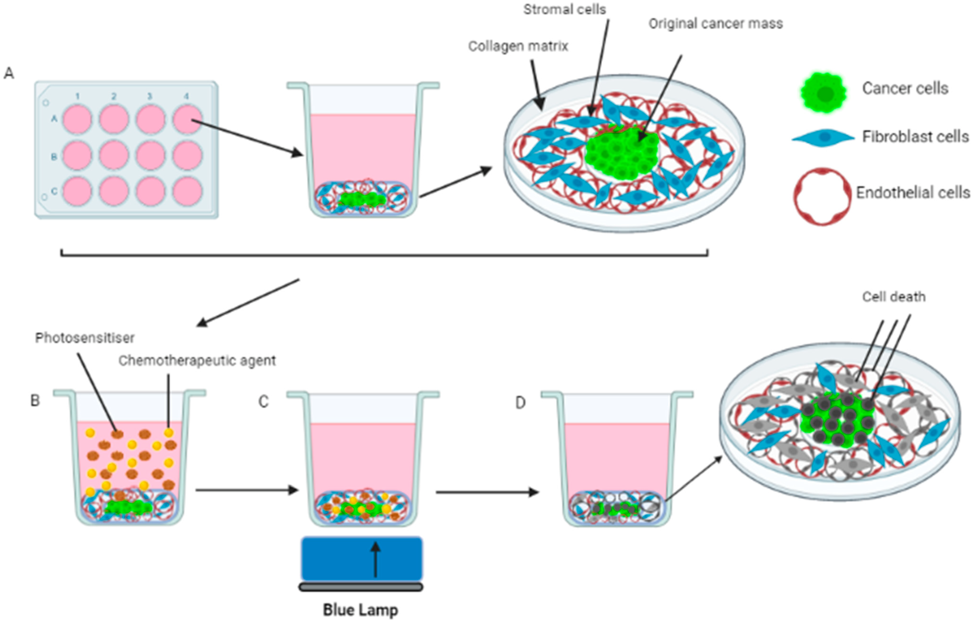 Biomedicines 11 00572 g002
