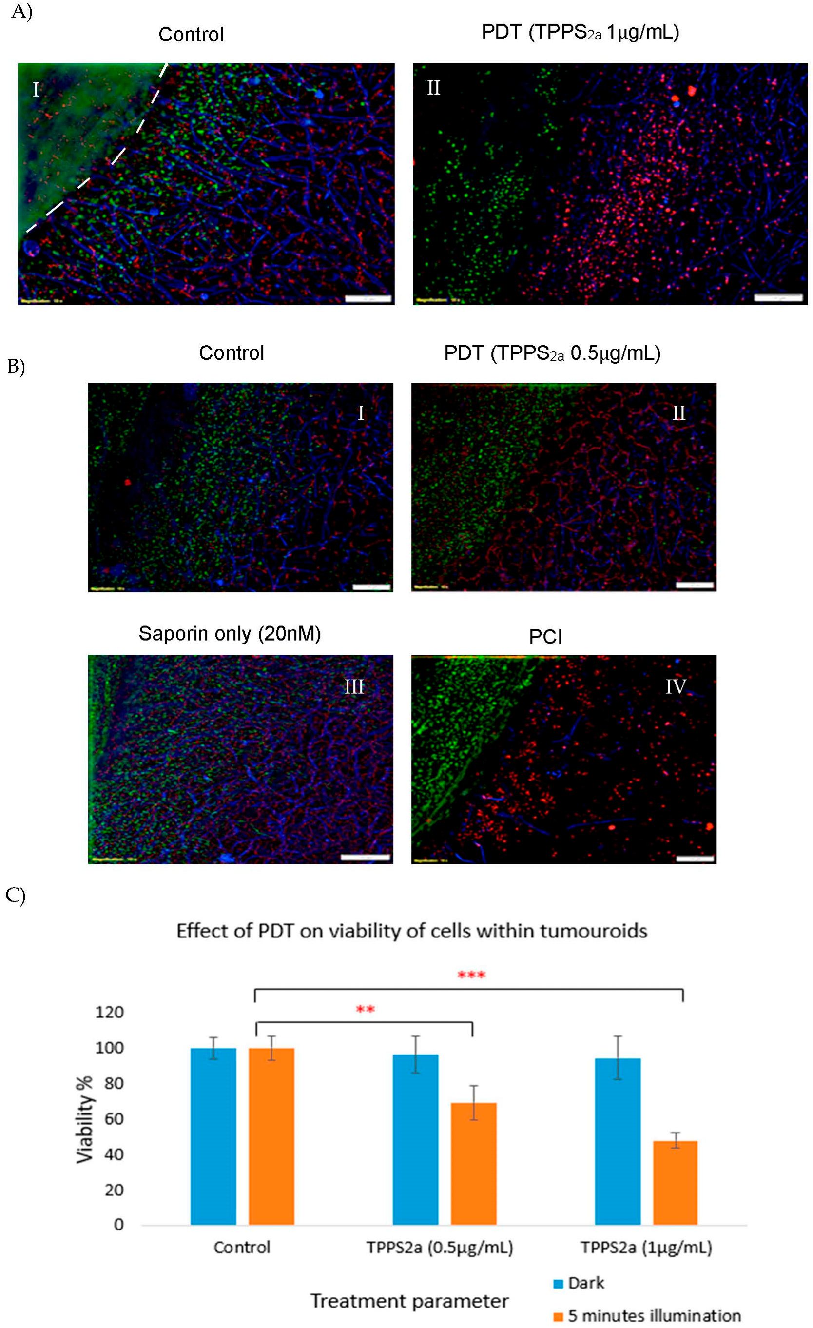 Biomedicines 11 00572 g004