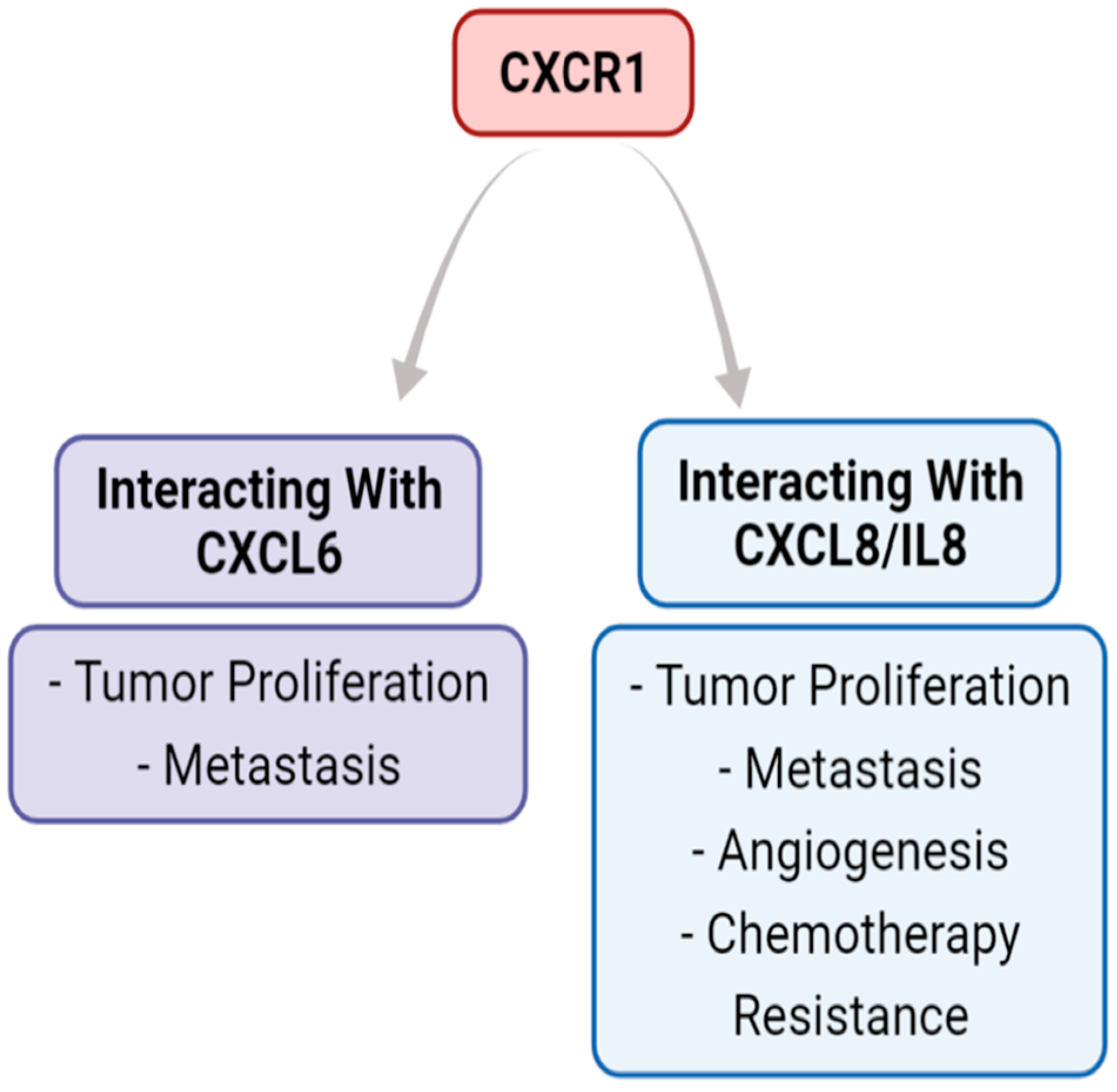 Biomedicines 11 00576 g003 Biomedicines 11 00576 g003