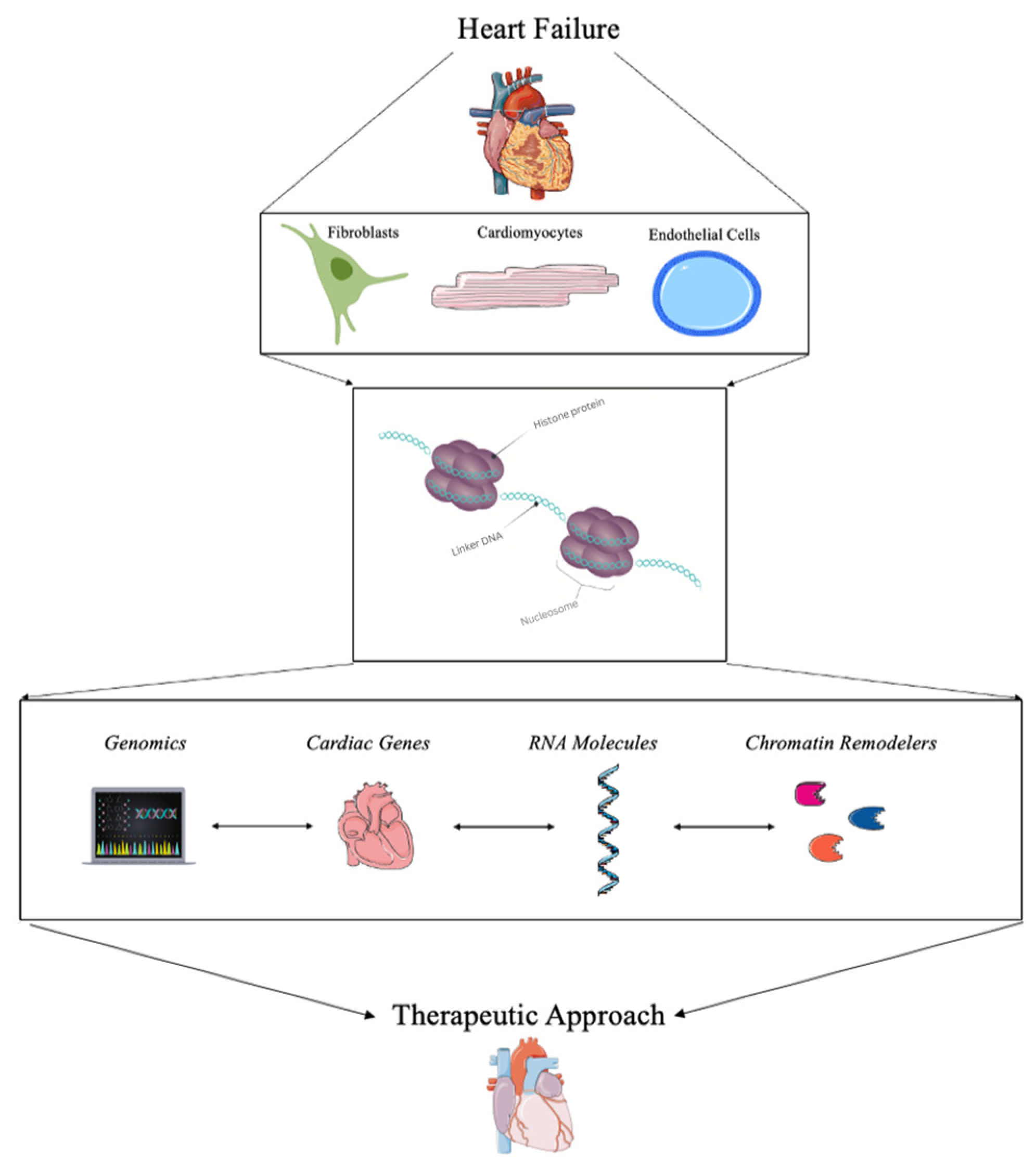 Biomedicines 11 00579 g001 Biomedicines 11 00579 g001