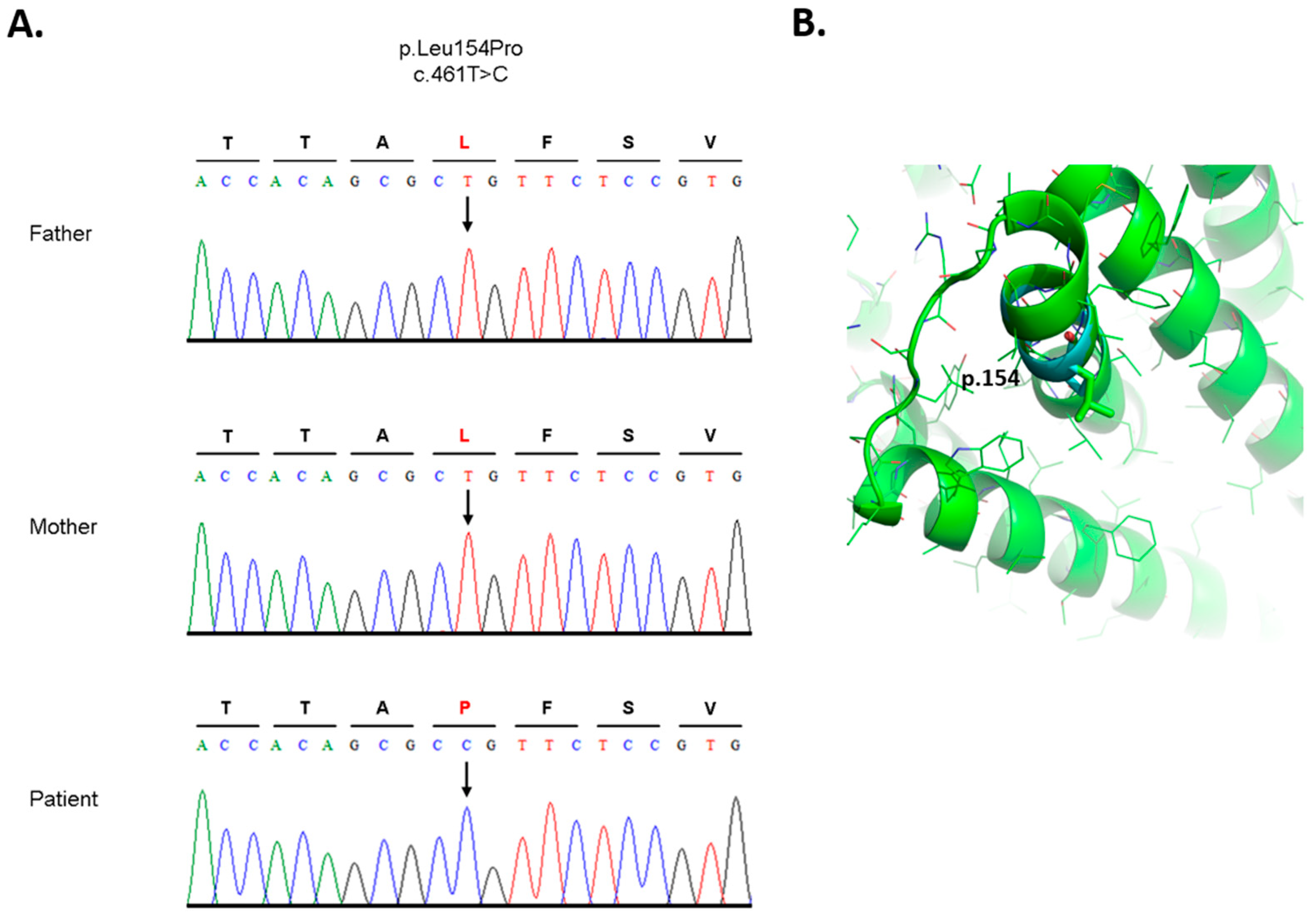 Biomedicines 11 00580 g003