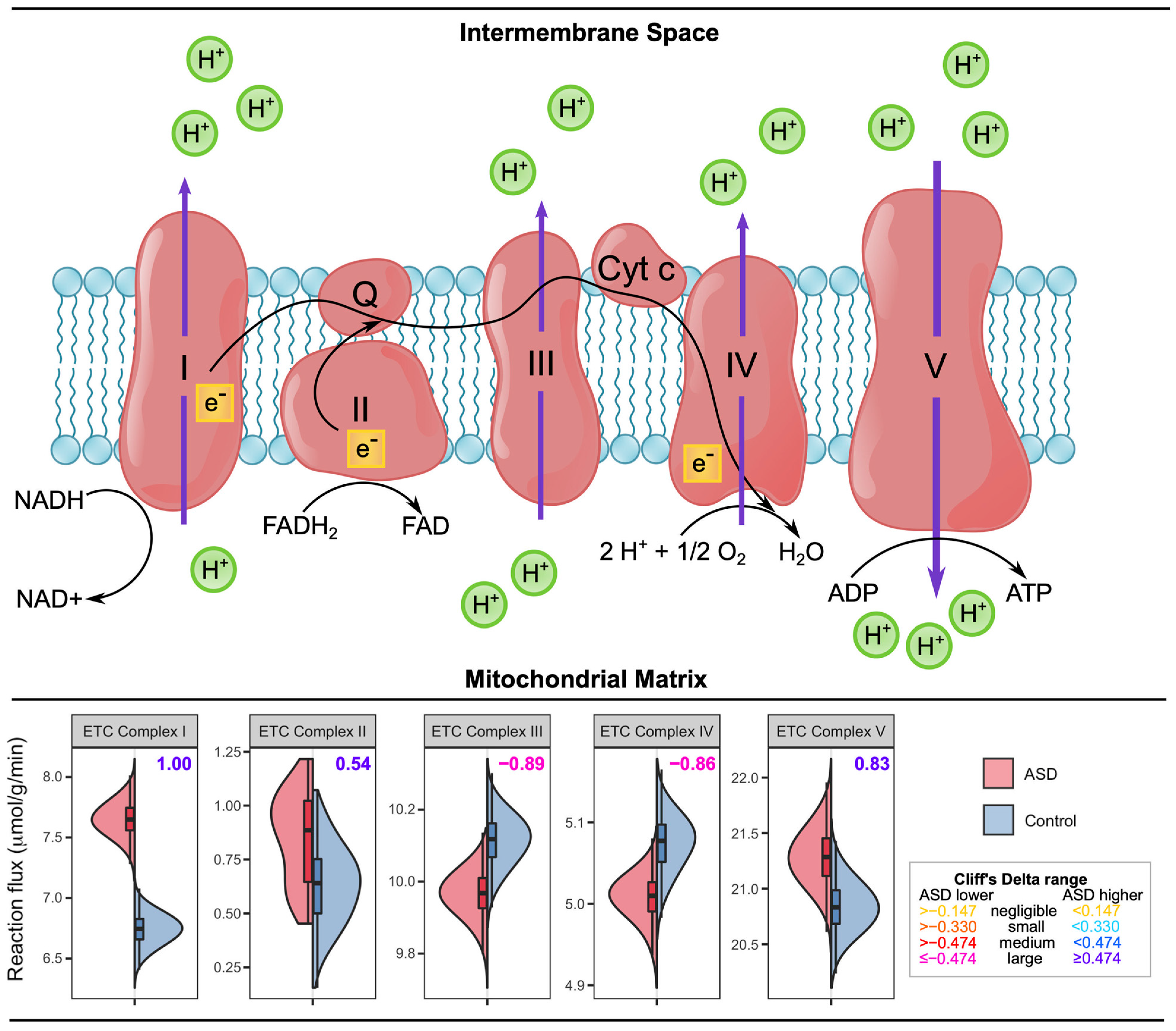 Biomedicines 11 00583 g005