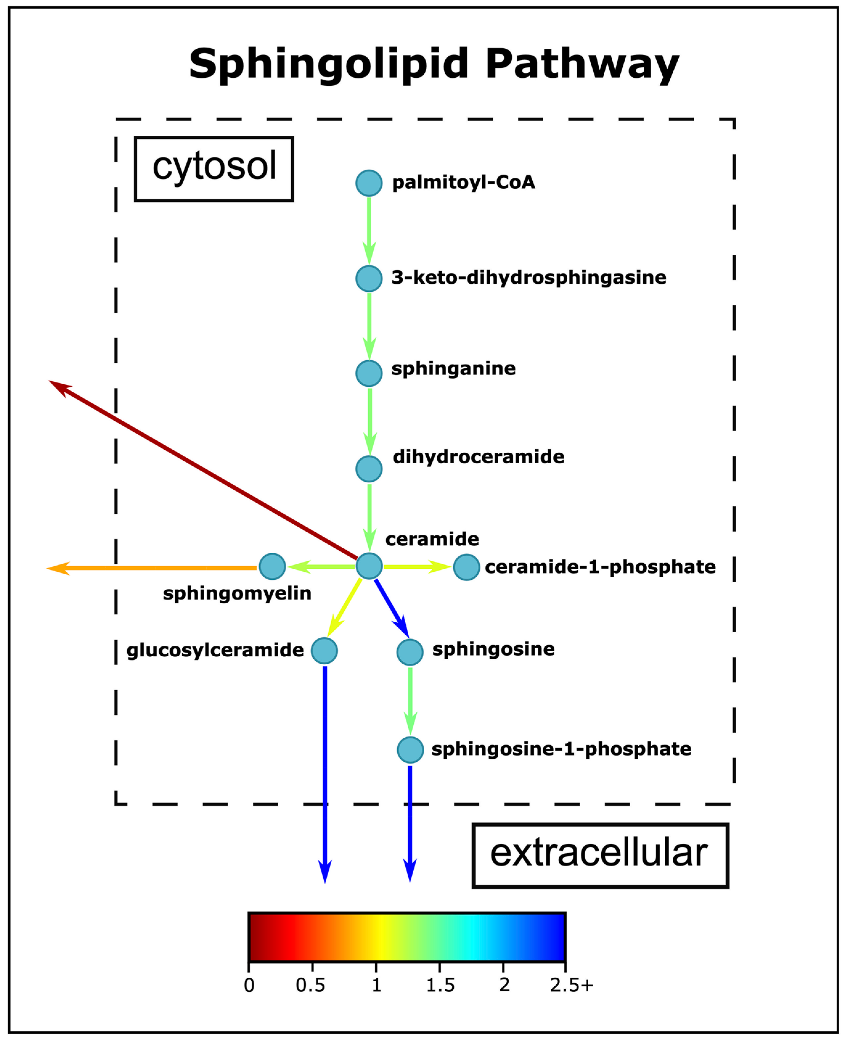 Biomedicines 11 00583 g007