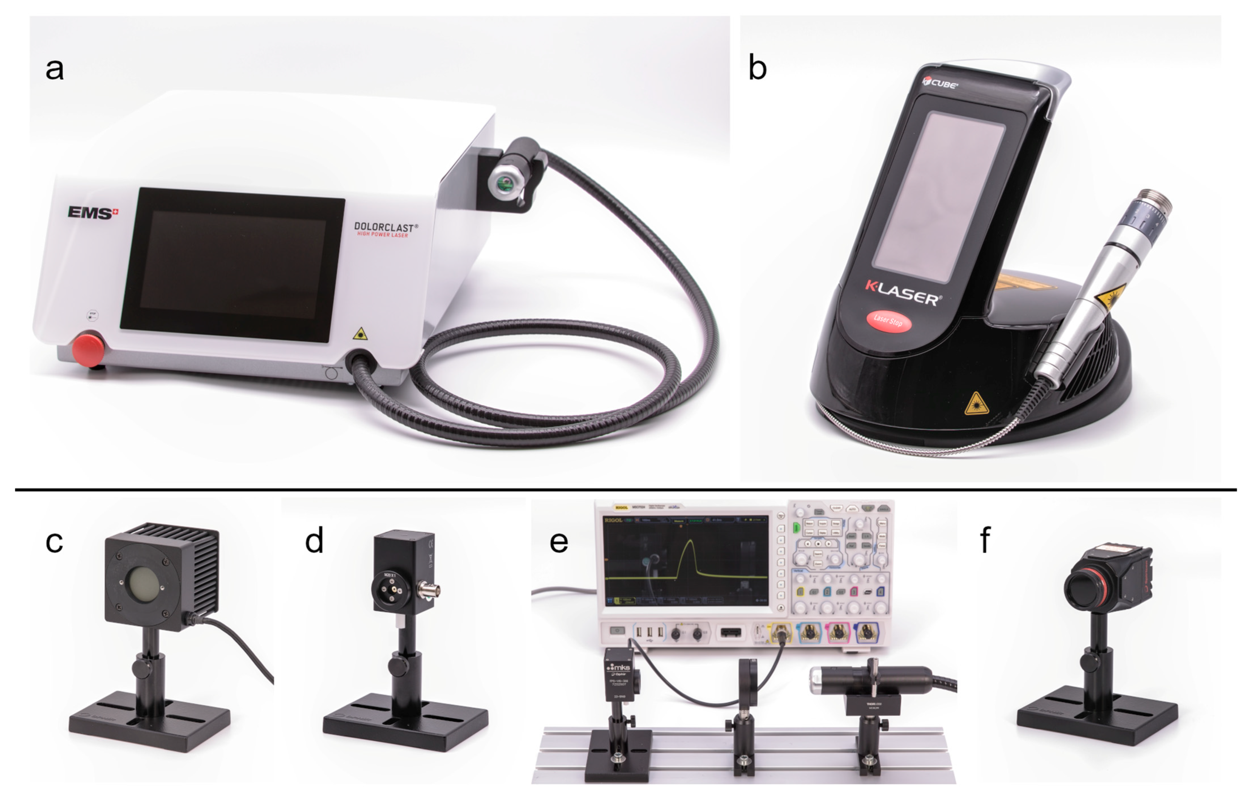 Biomedicines 11 00585 g001