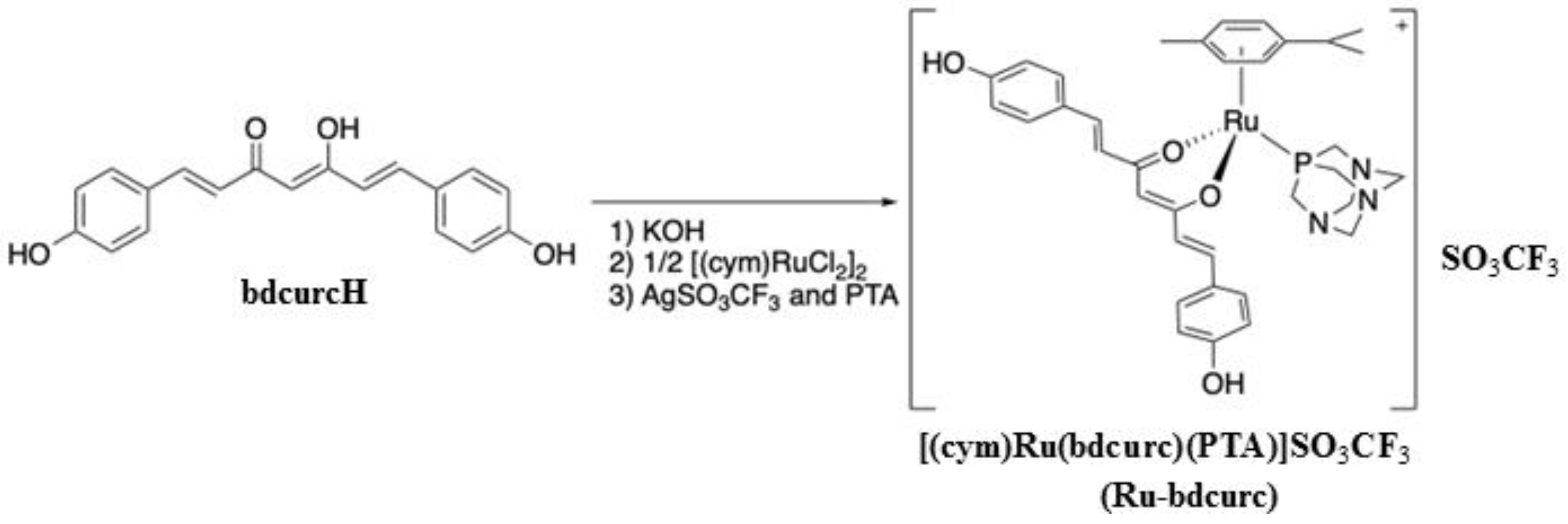 Biomedicines 11 00593 g001