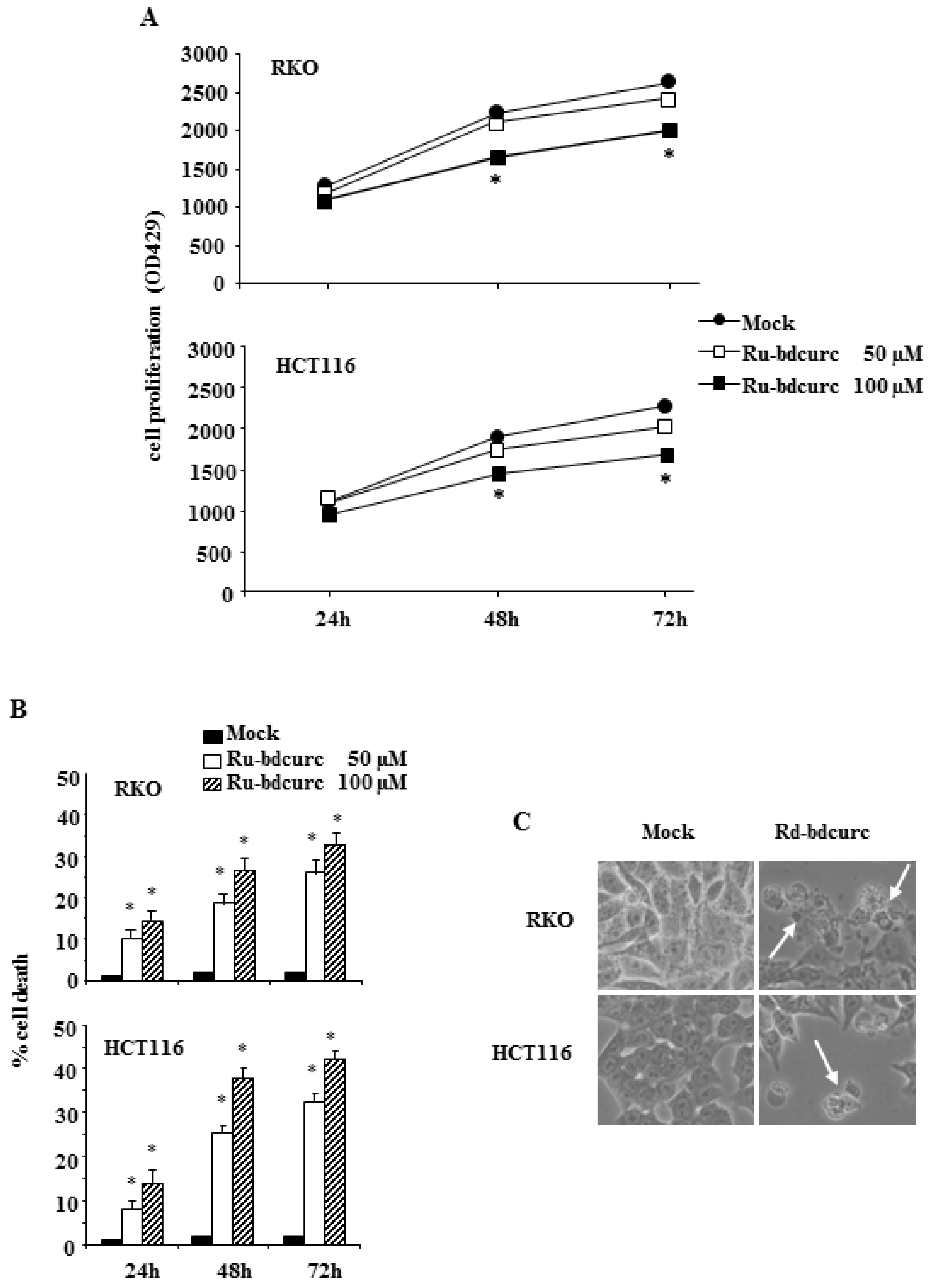 Biomedicines 11 00593 g002