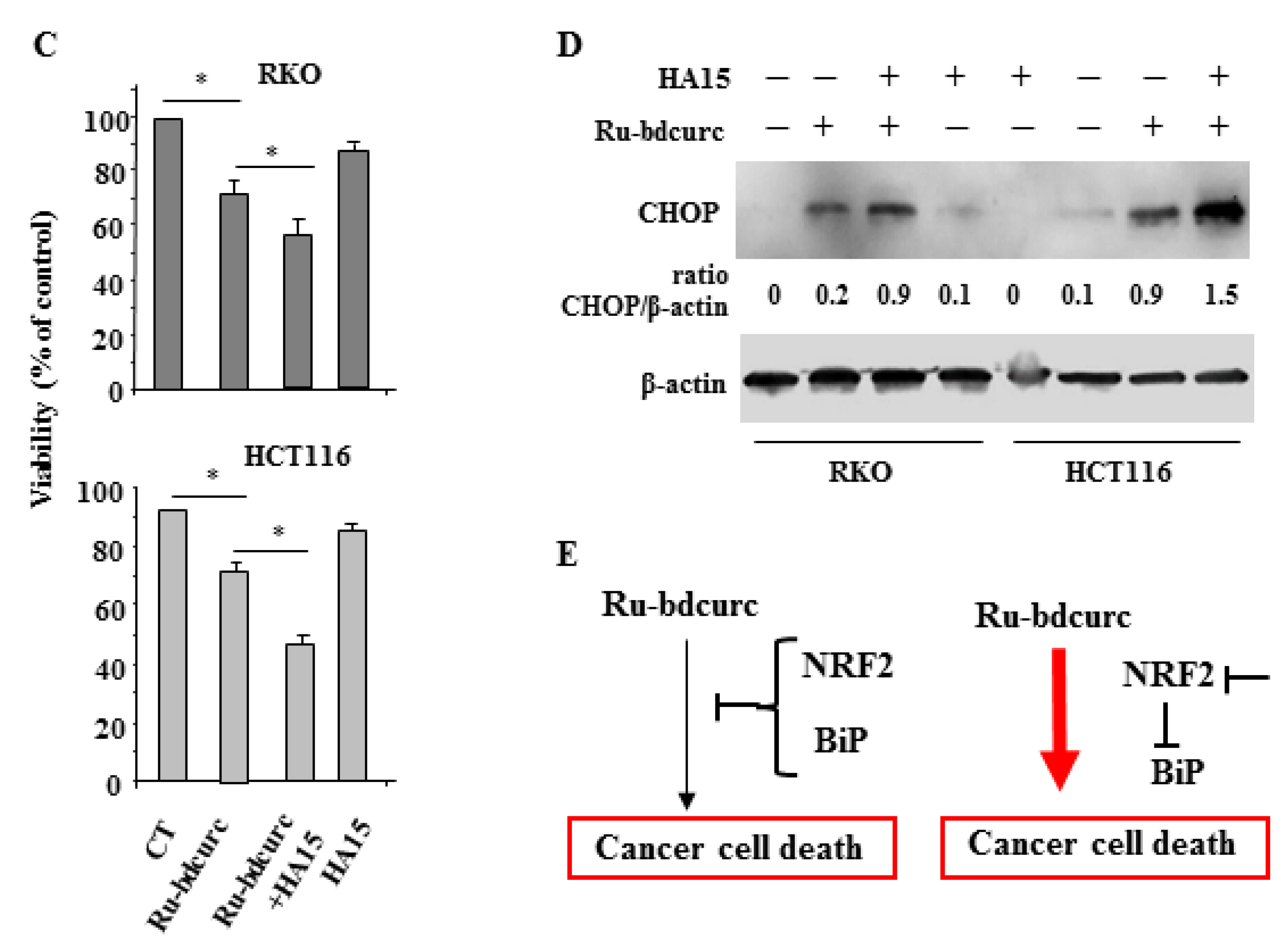 Biomedicines 11 00593 g005b