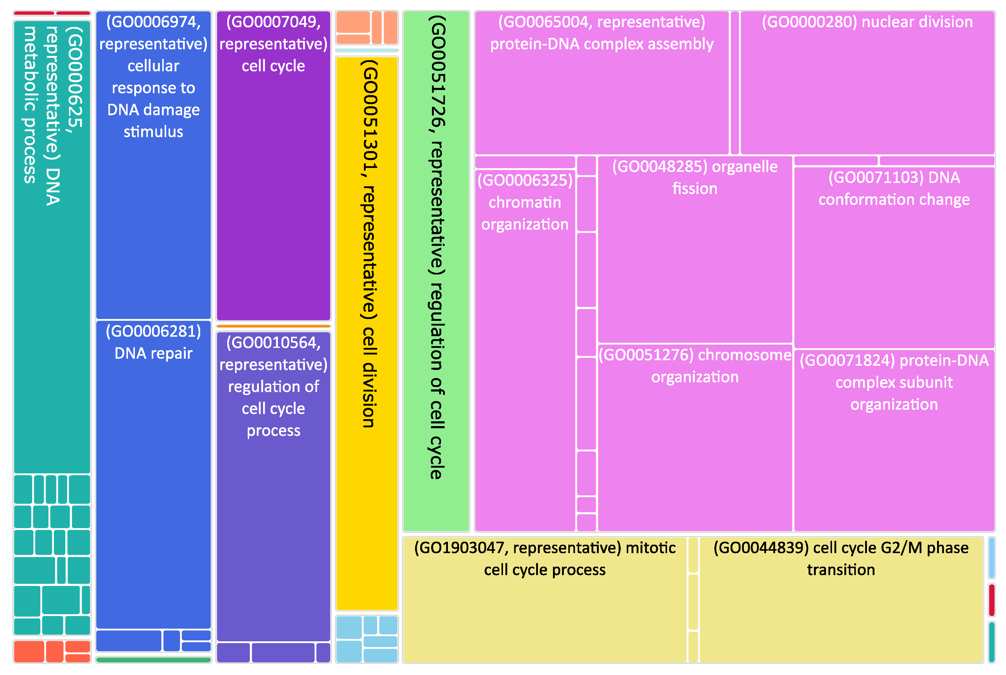 Biomedicines 11 00596 g003