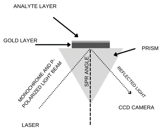 Biomedicines 11 00602 g0a1