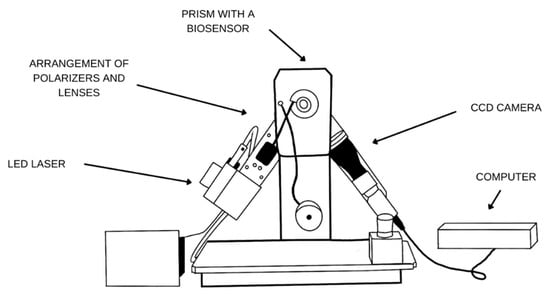 Biomedicines 11 00602 g0a2
