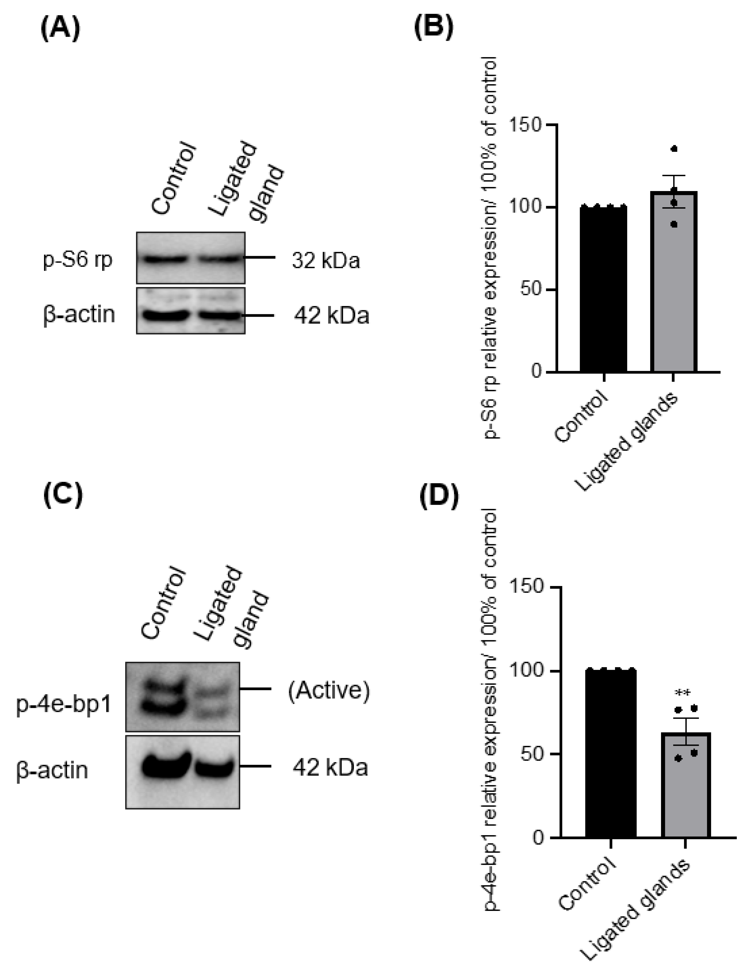 Biomedicines 11 00604 g007