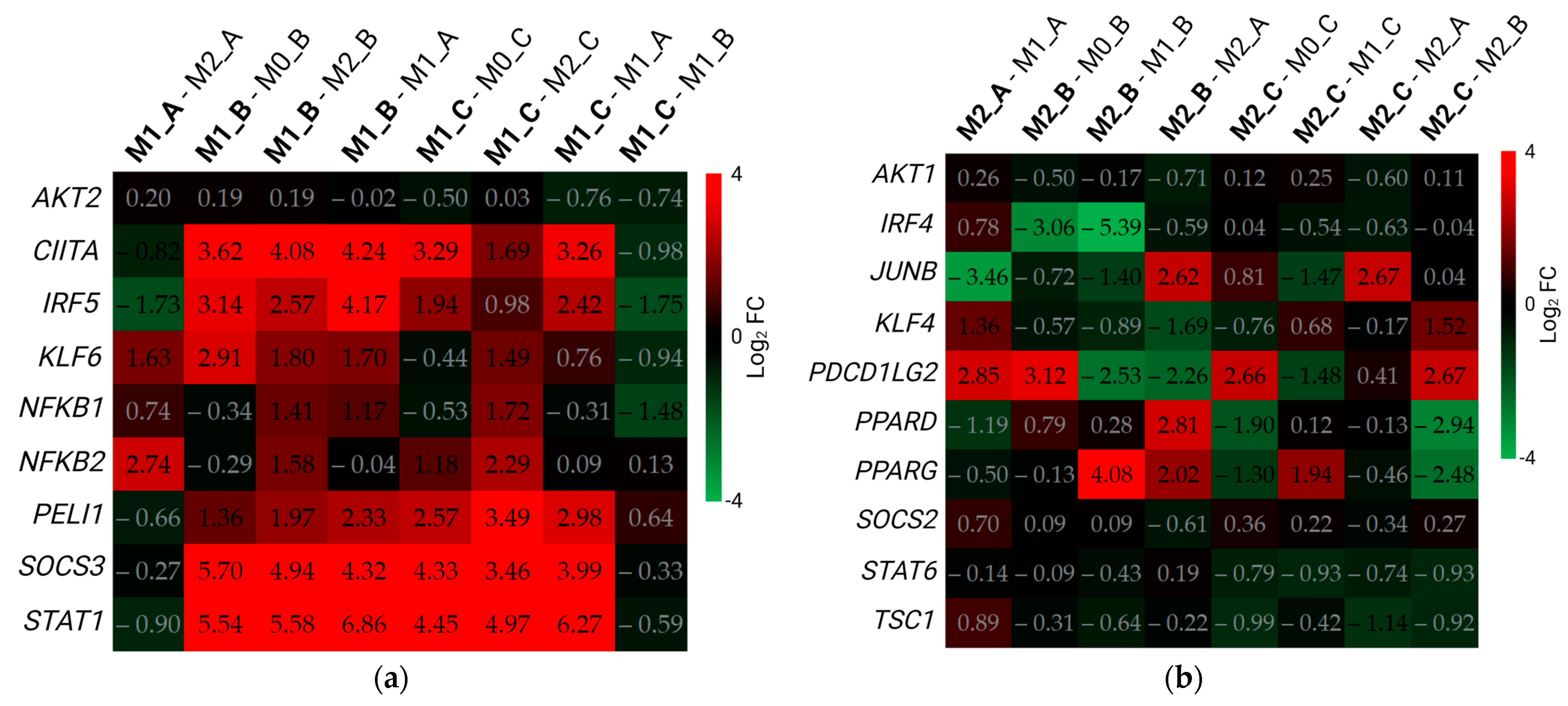 Biomedicines 11 00608 g006