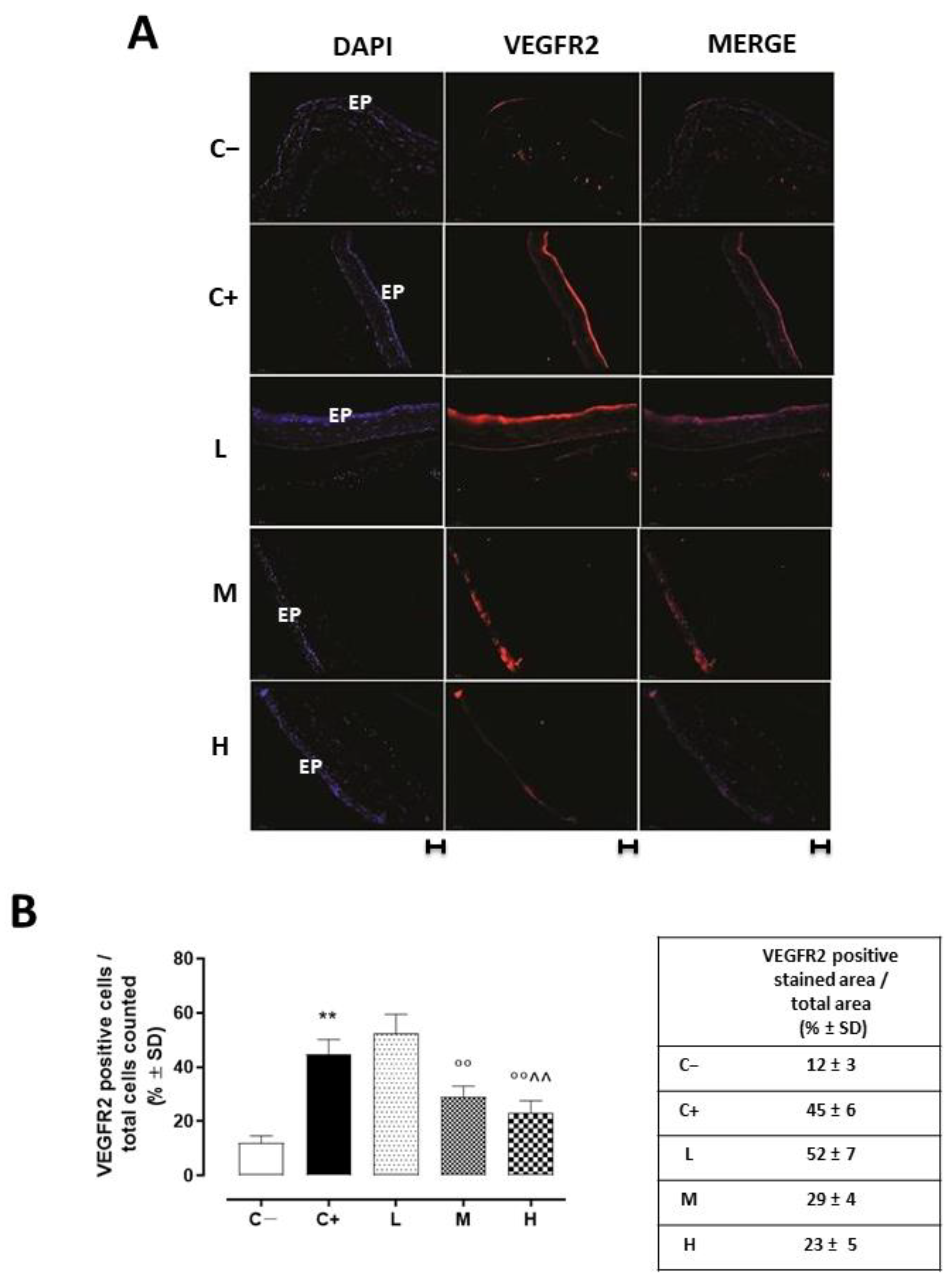 Biomedicines 11 00616 g005