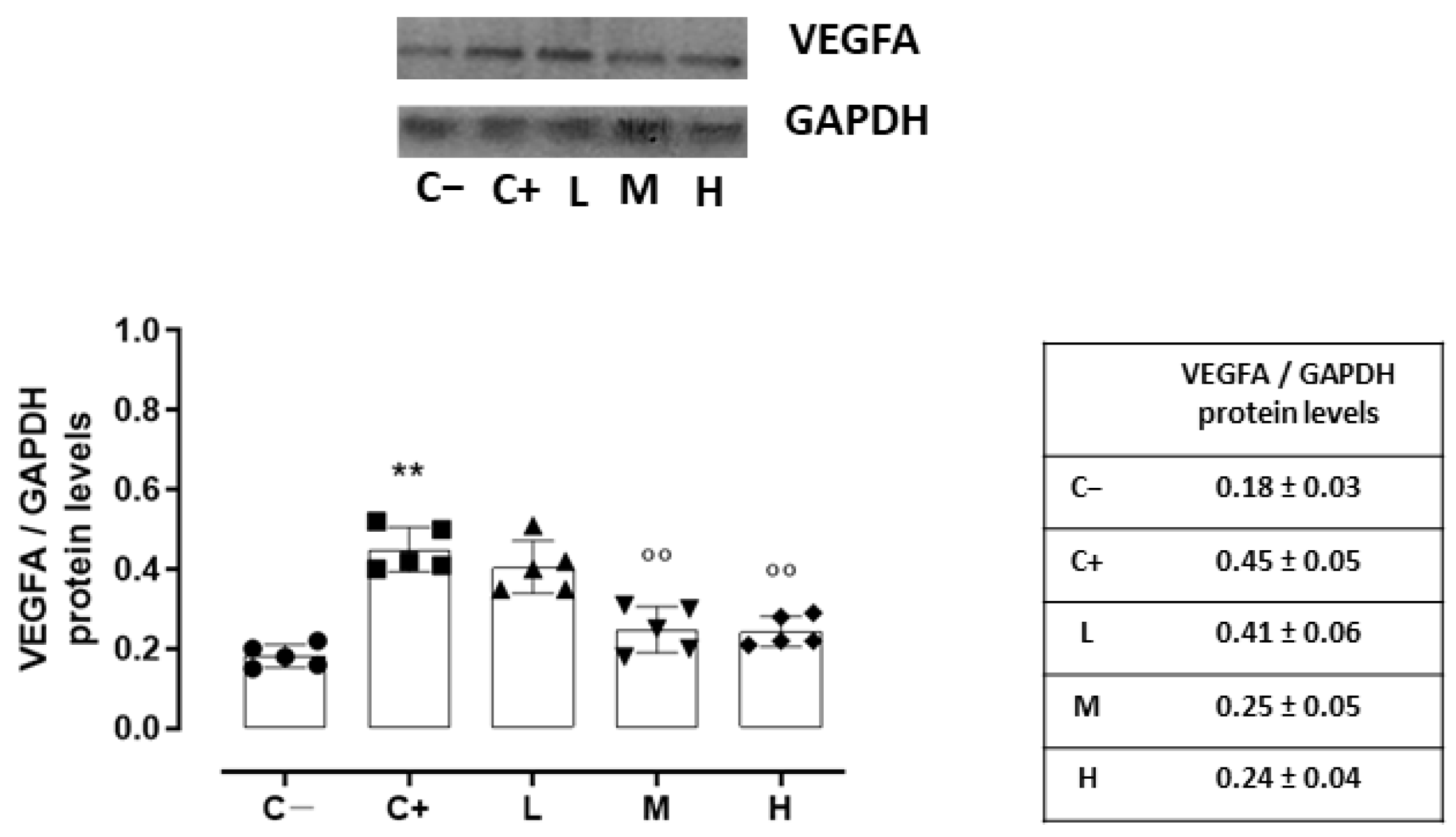 Biomedicines 11 00616 g006