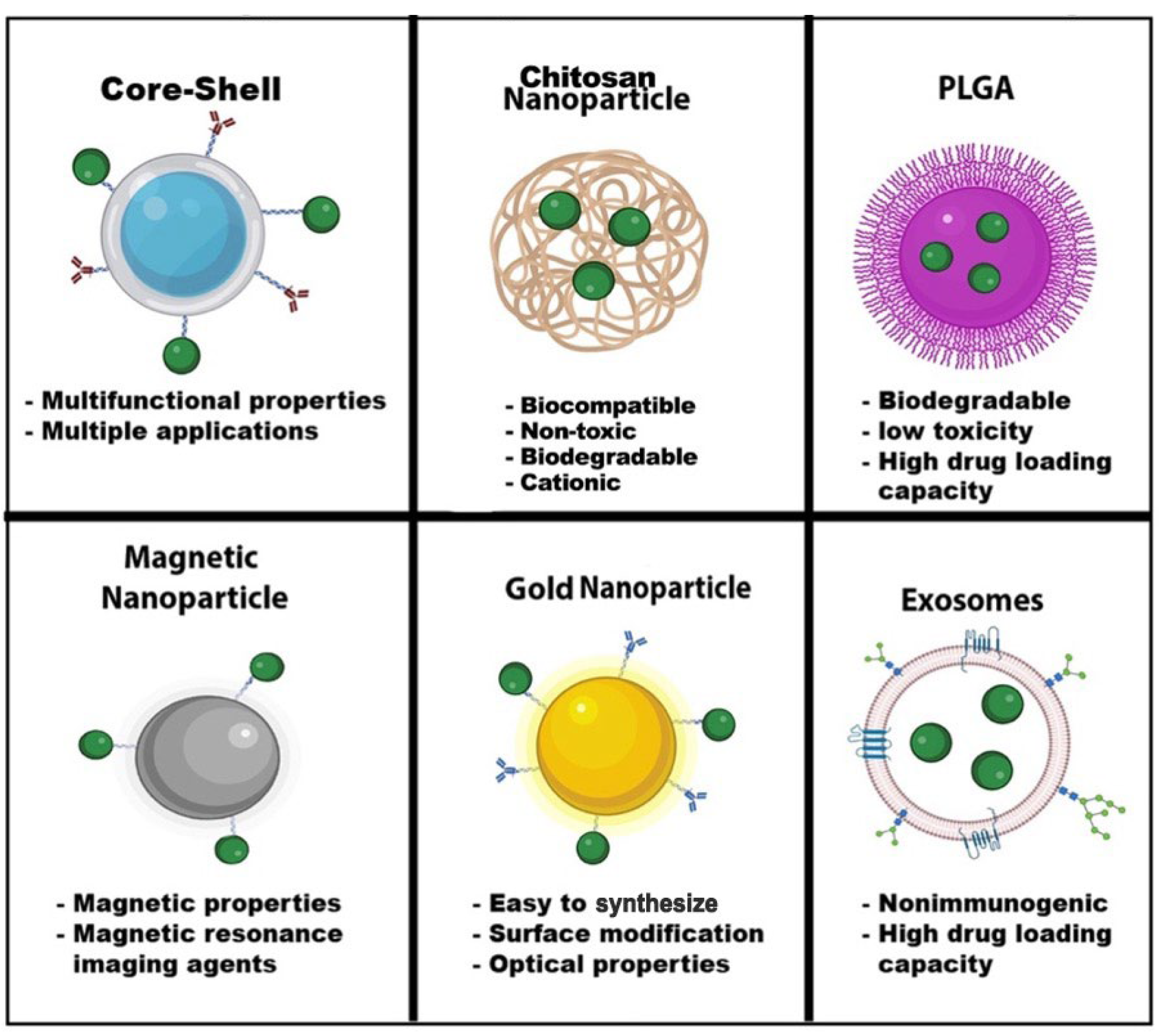 Biomedicines 11 00617 g004