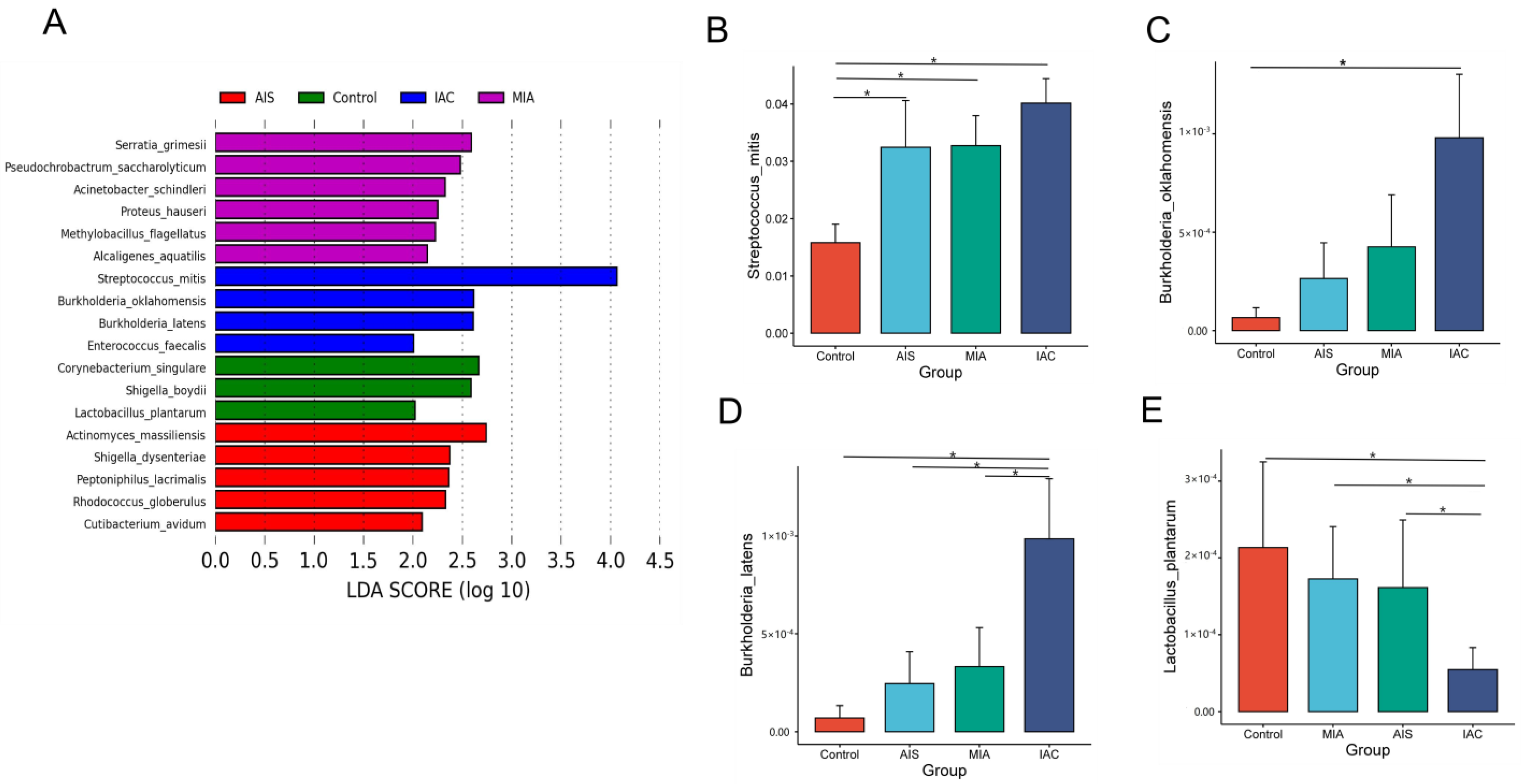 Biomedicines 11 00631 g005 Biomedicines 11 00631 g005