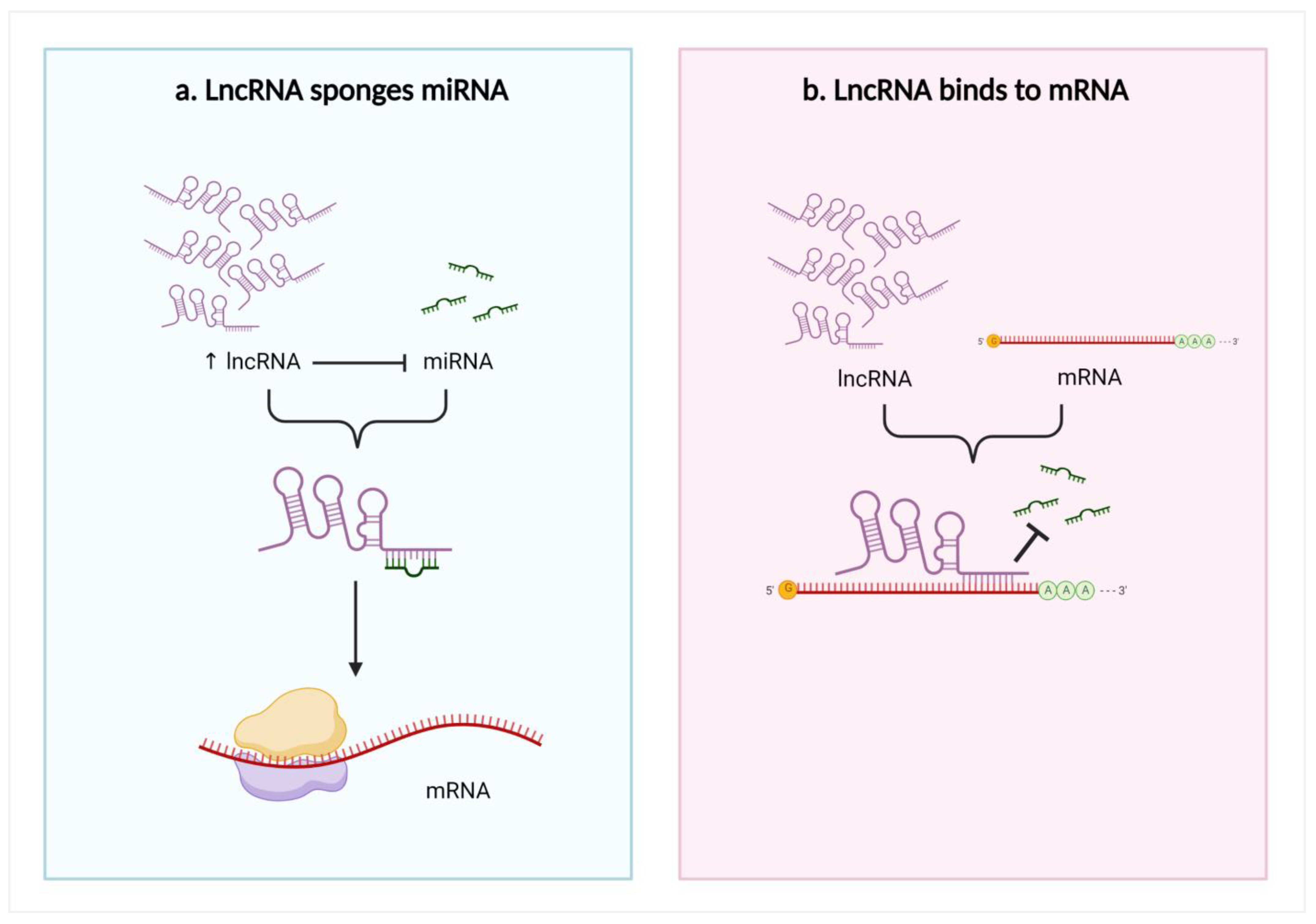 Biomedicines 11 00633 g001