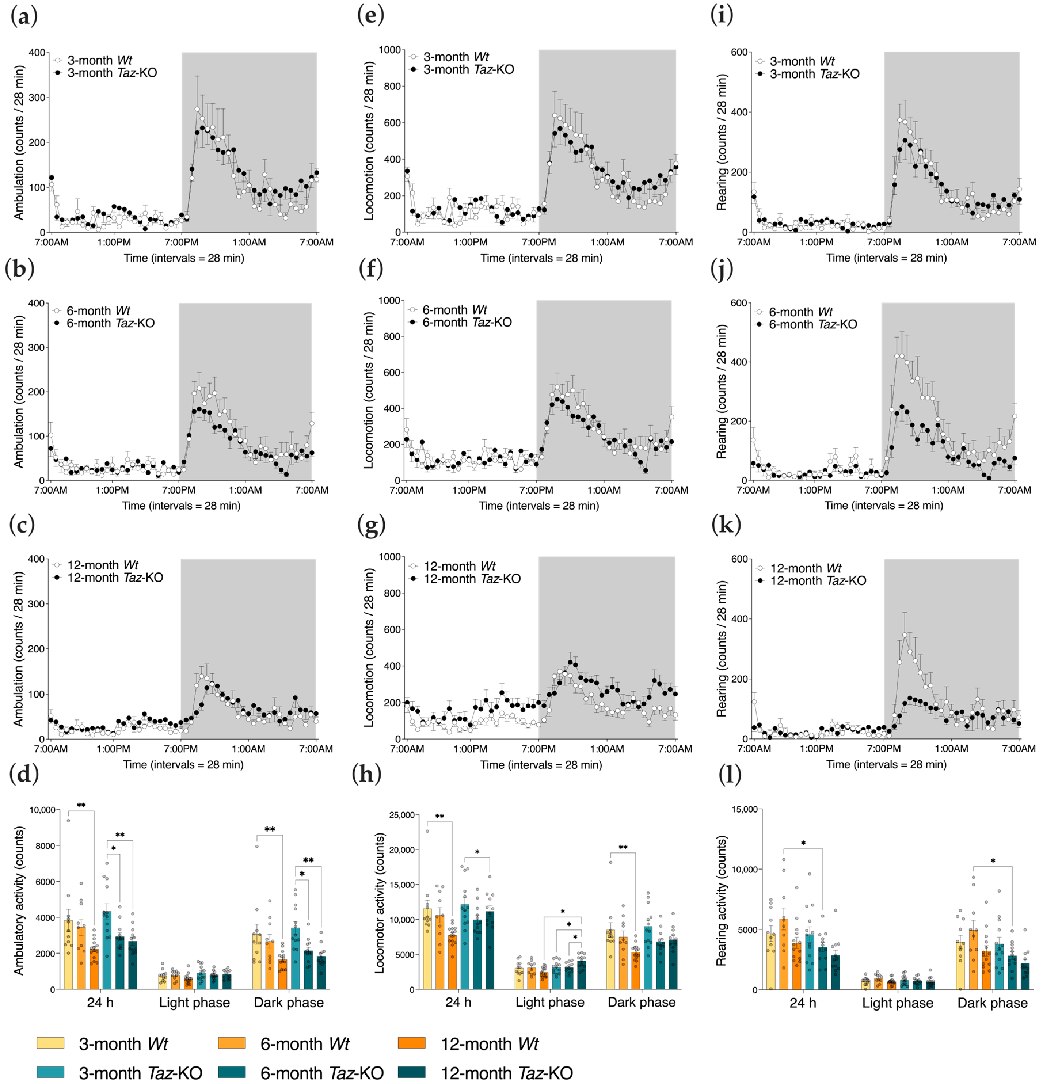 Biomedicines 11 00638 g004