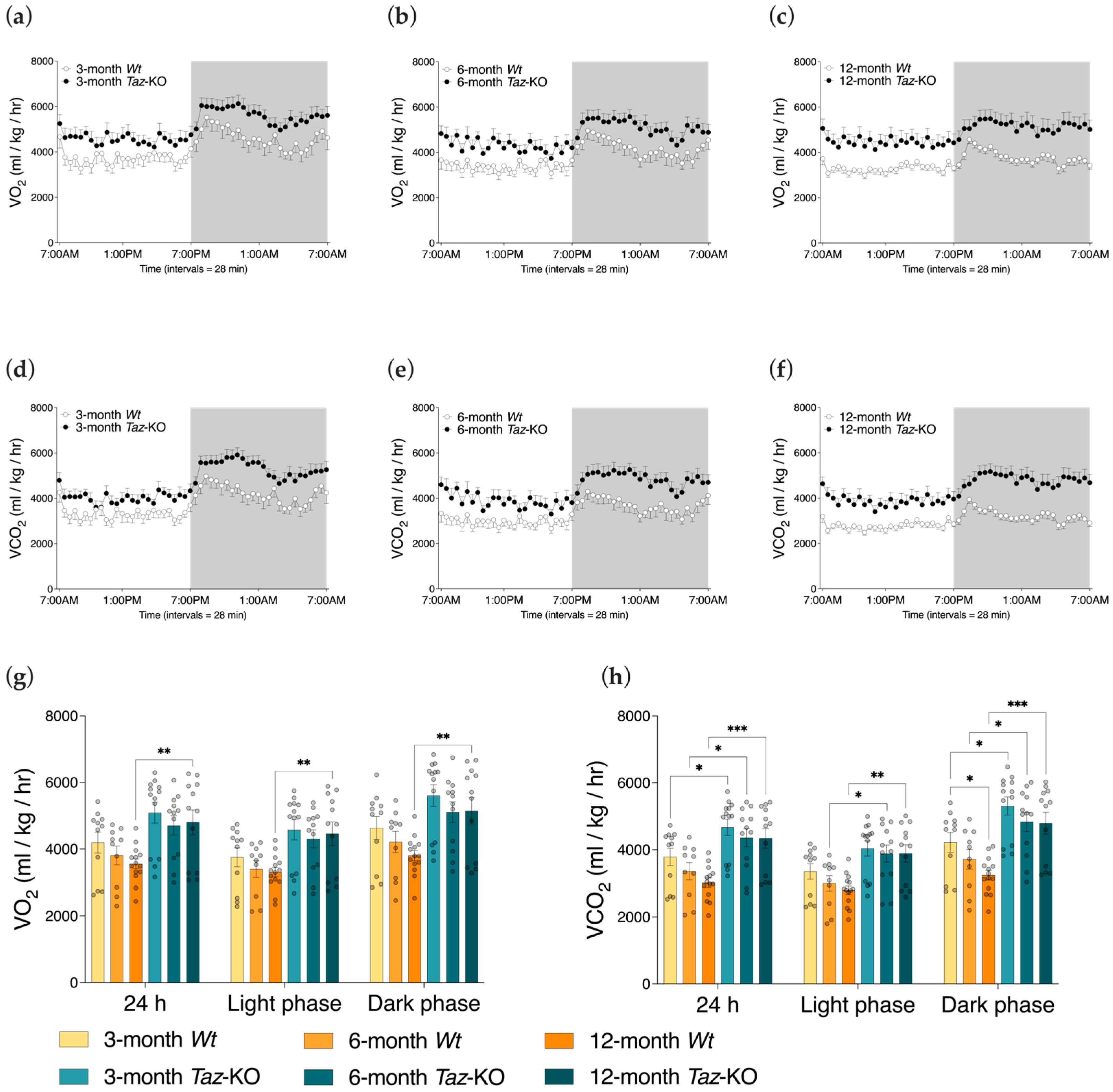 Biomedicines 11 00638 g005