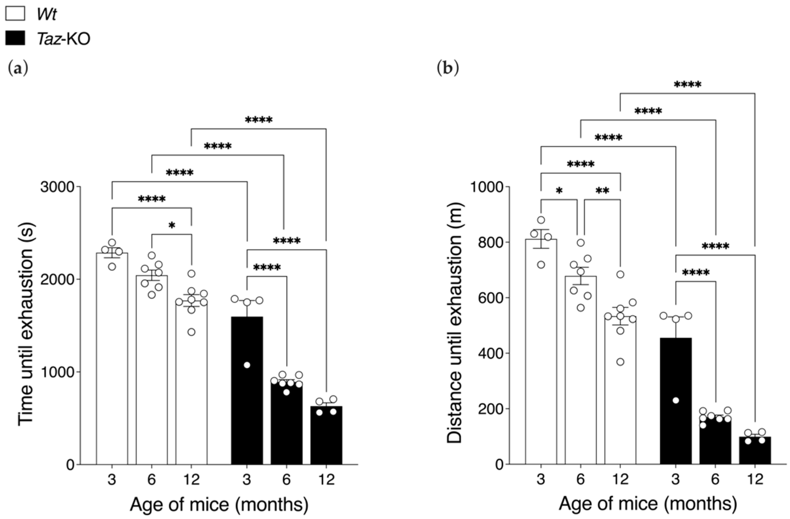 Biomedicines 11 00638 g008