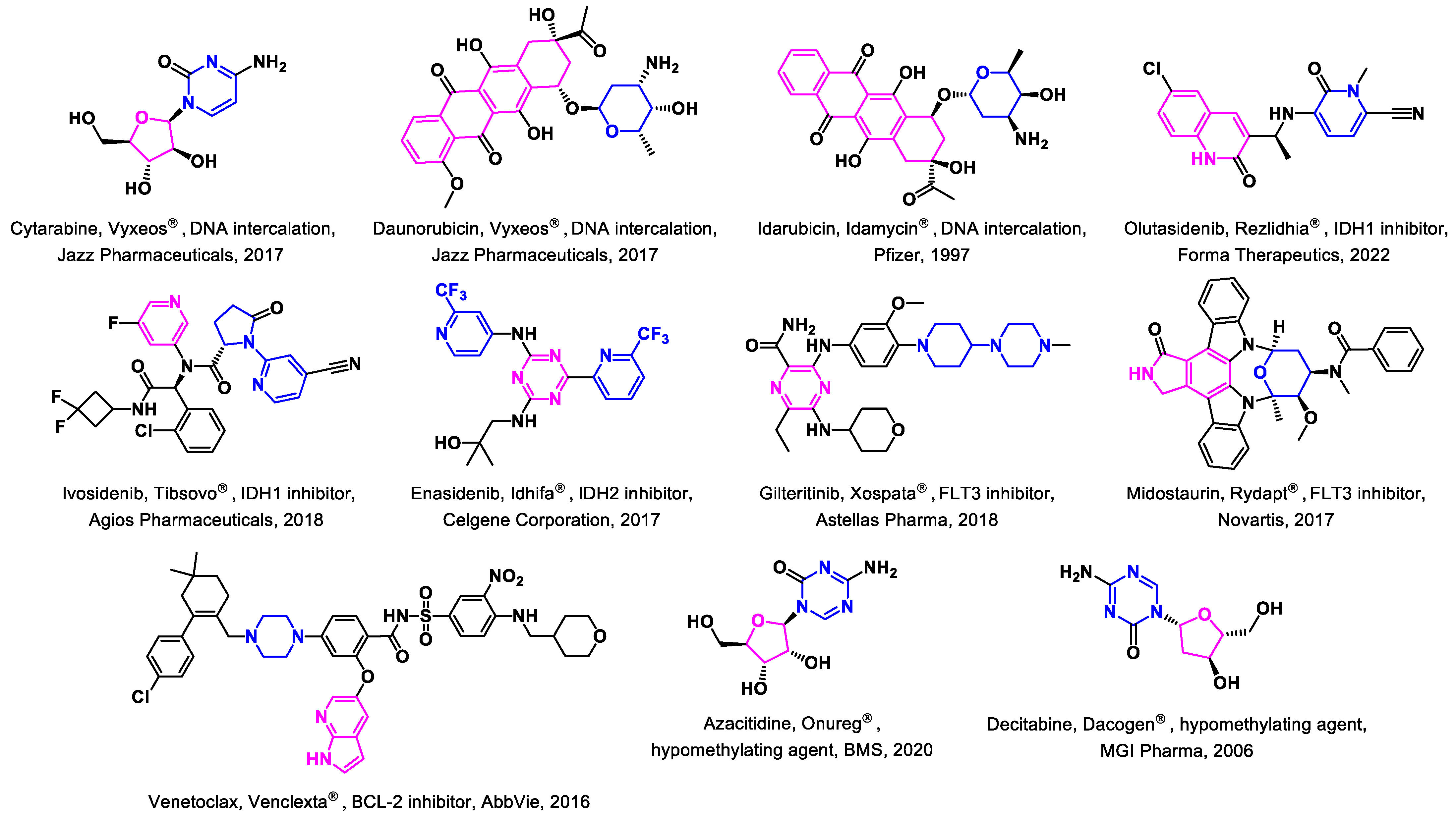 Biomedicines 11 00641 g001