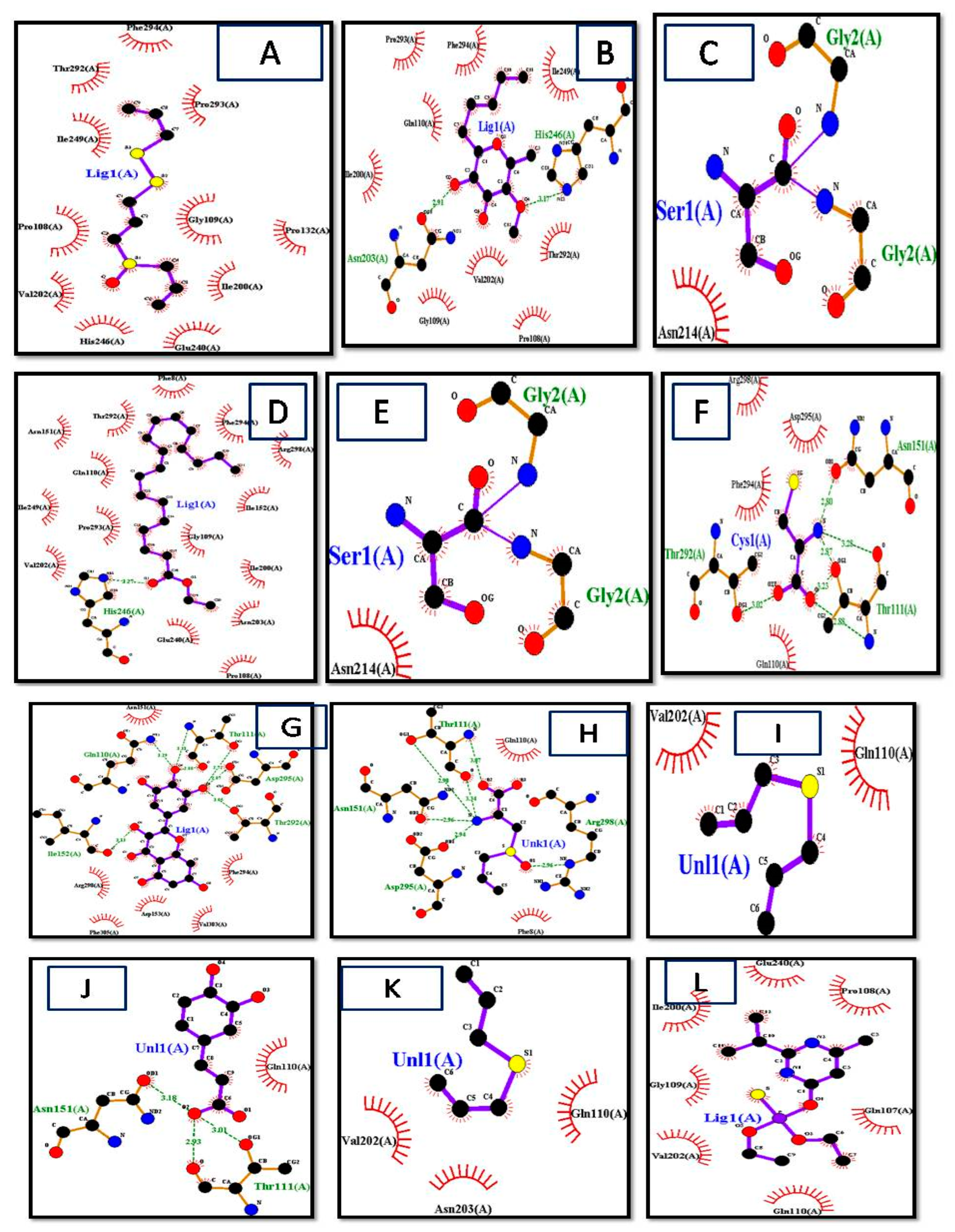 Biomedicines 11 00643 g004a