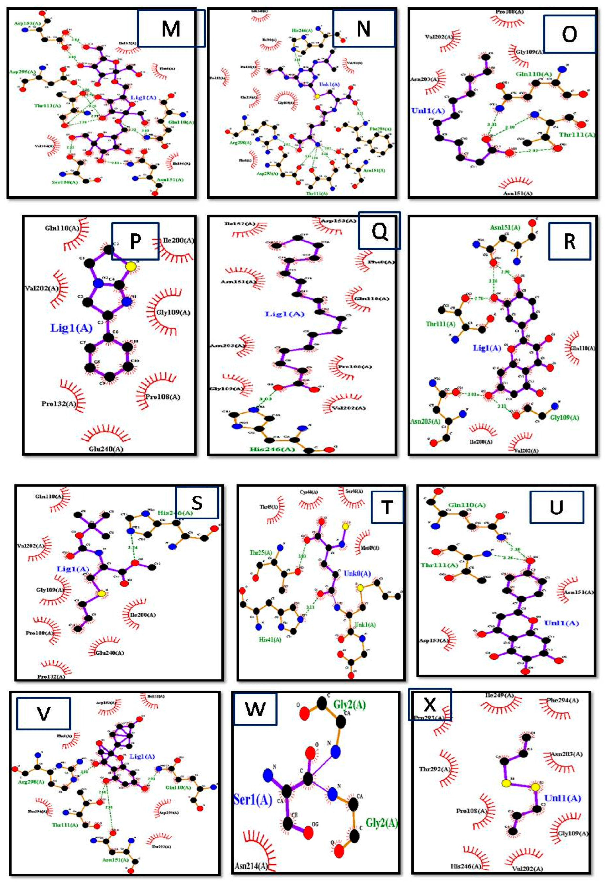 Biomedicines 11 00643 g004b
