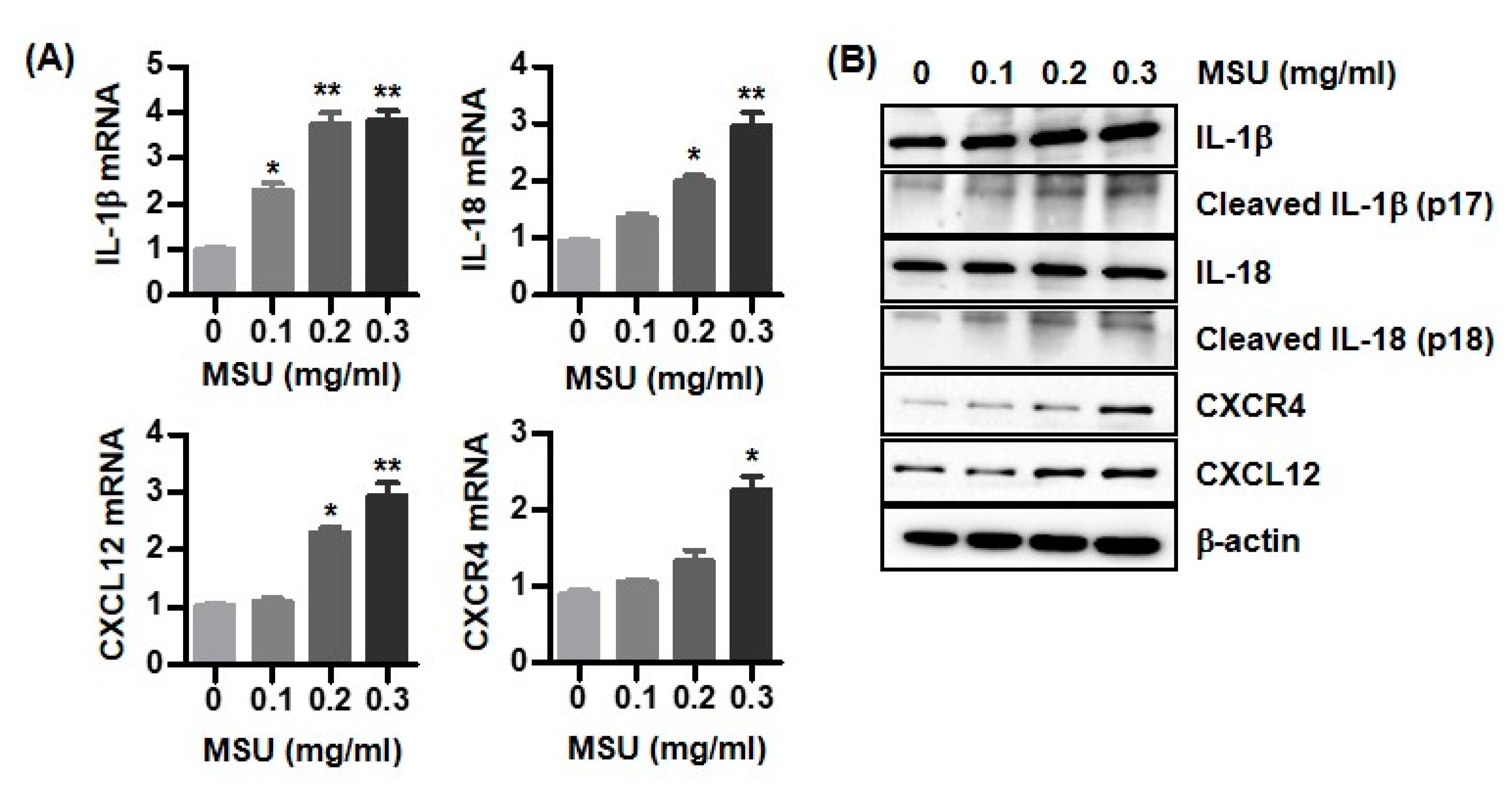 Biomedicines 11 00649 g002 Biomedicines 11 00649 g002