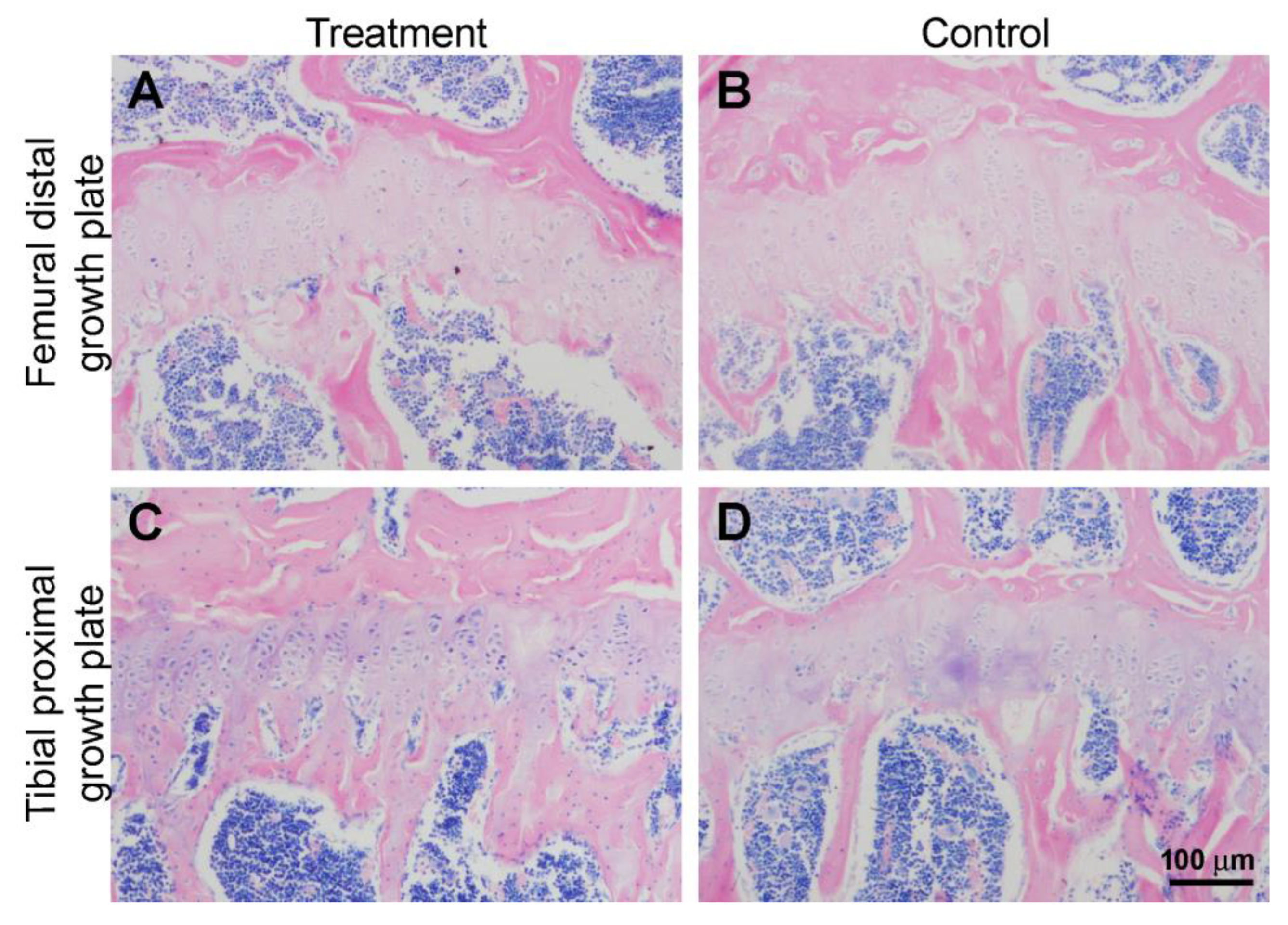 Biomedicines 11 00655 g005