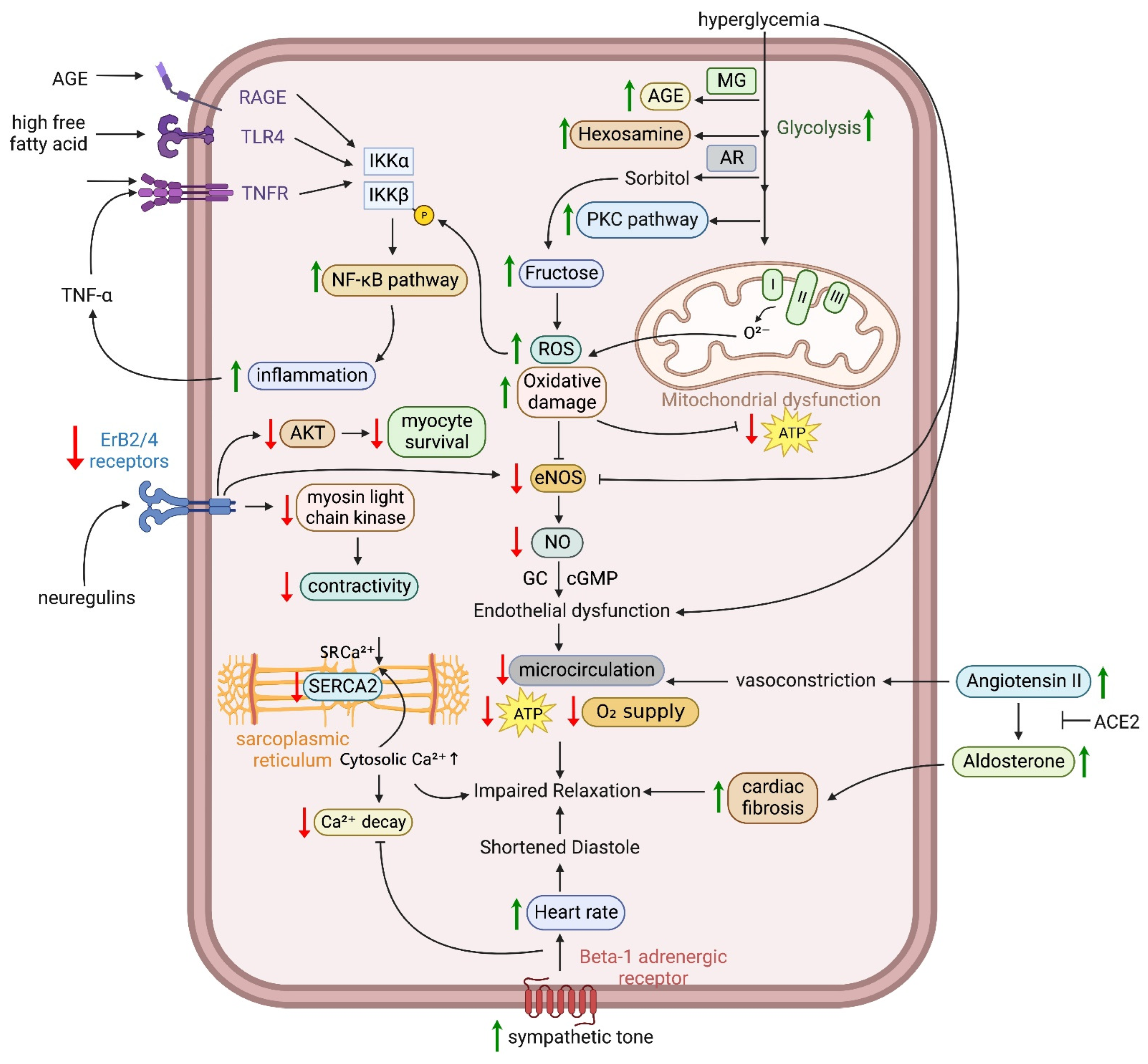 Biomedicines 11 00662 g002