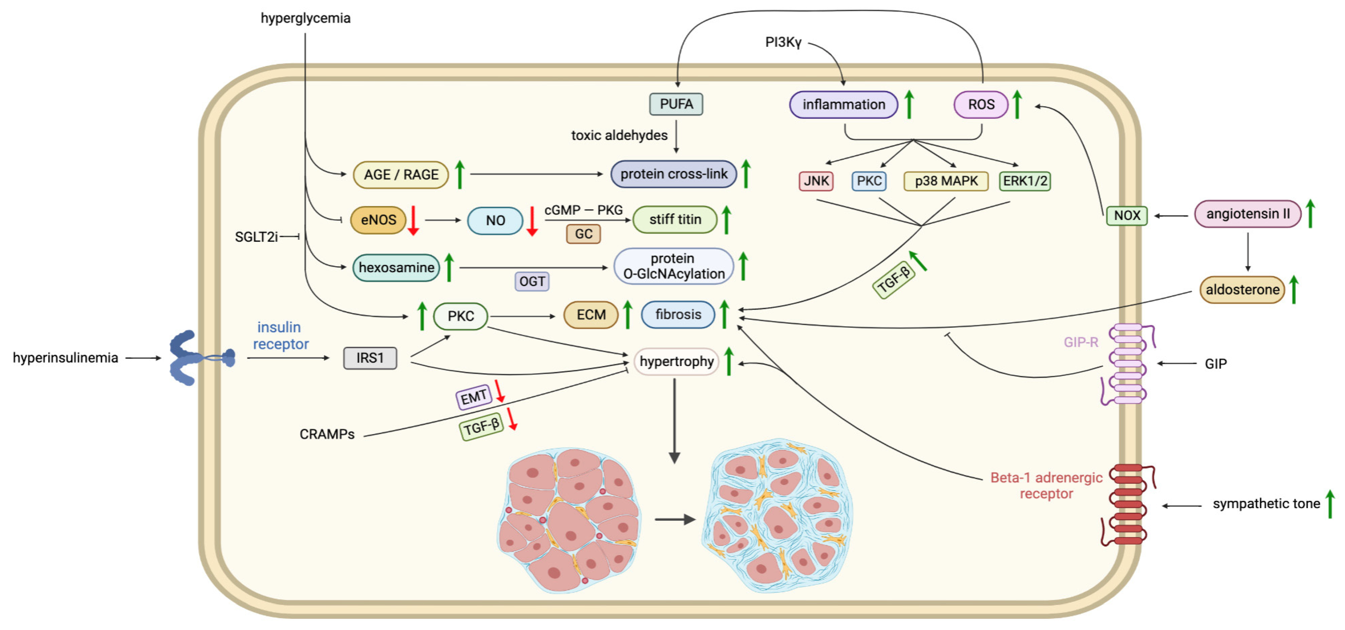 Biomedicines 11 00662 g003
