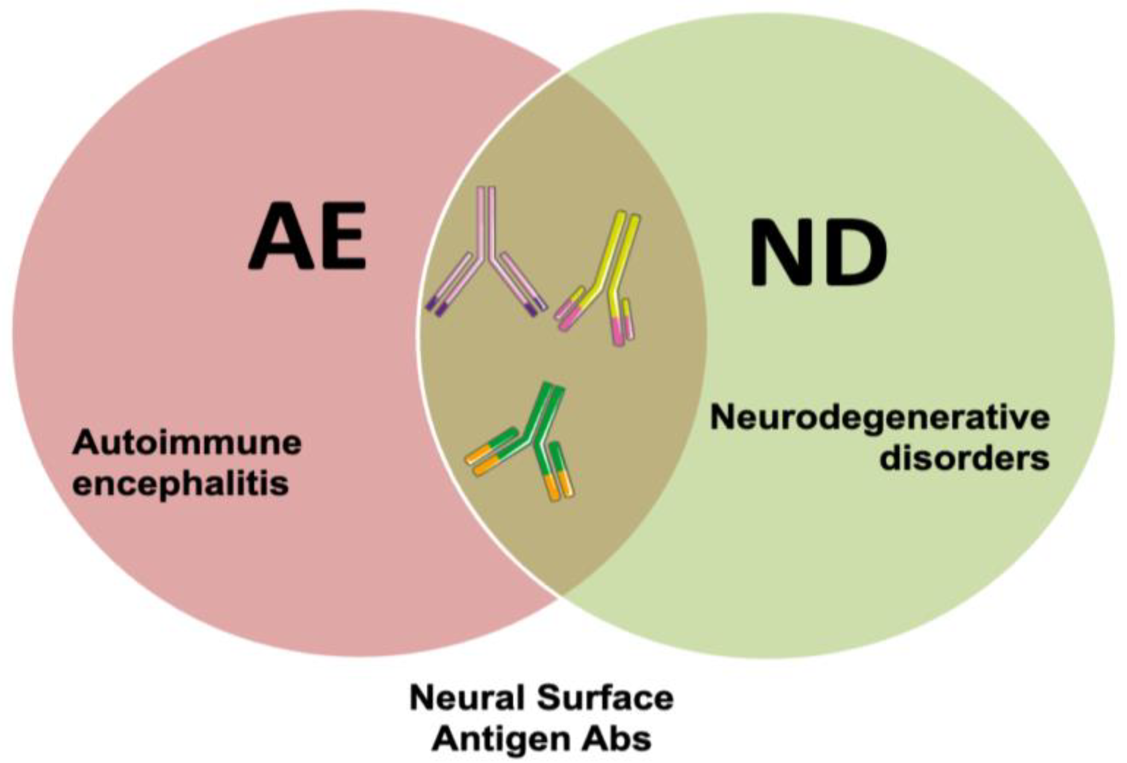 Biomedicines 11 00666 g001