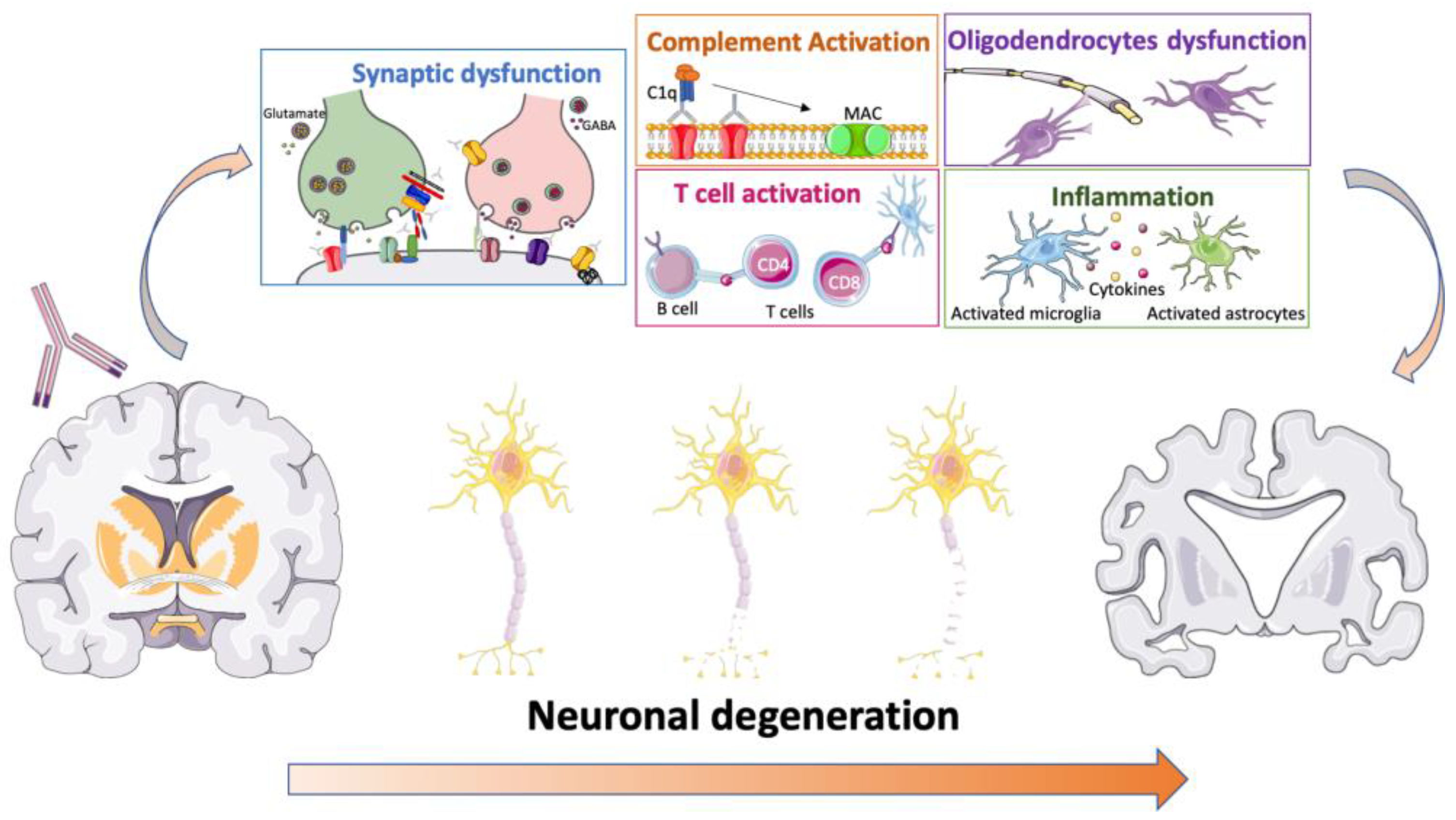 Biomedicines 11 00666 g003