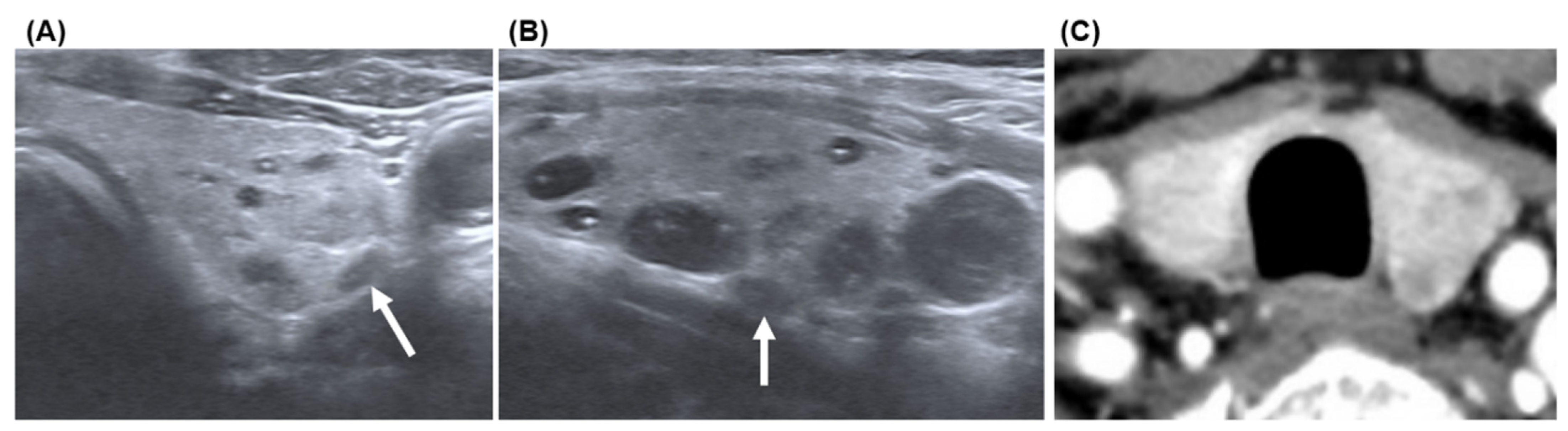 Biomedicines 11 00672 g004