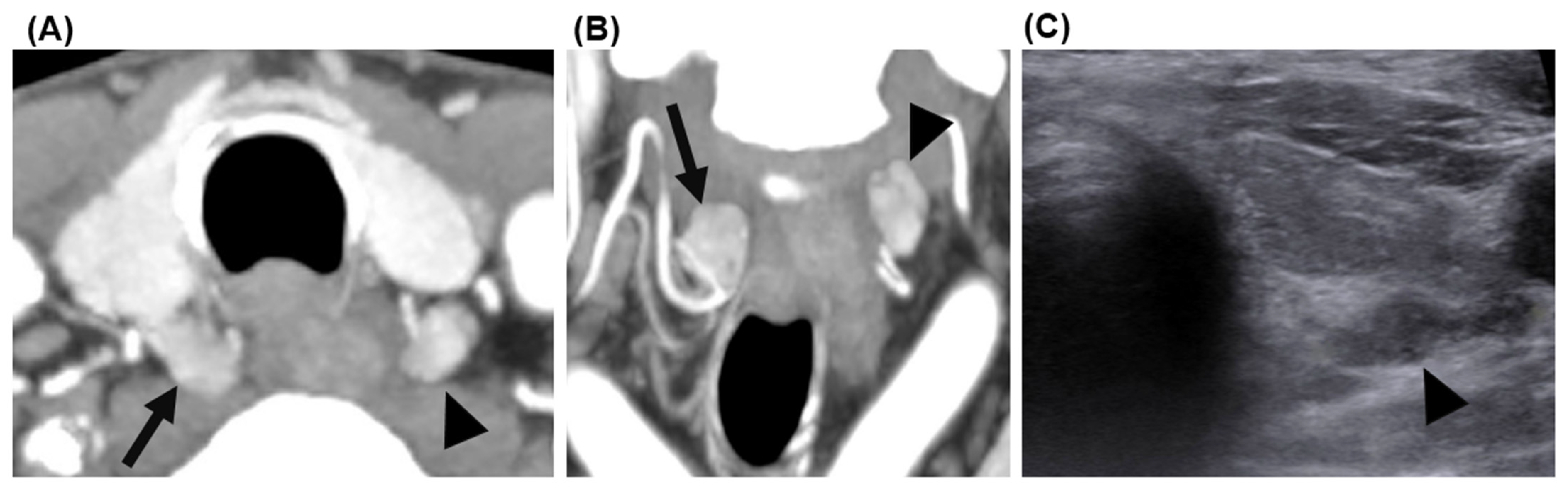 Biomedicines 11 00672 g005