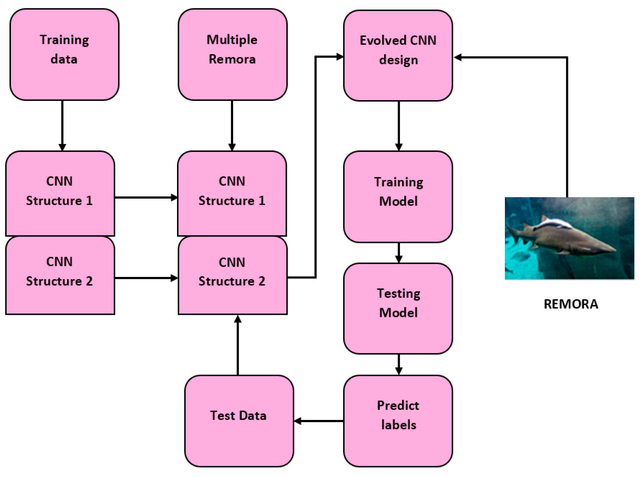 Biomedicines 11 00679 g003