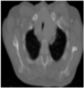 Biomedicines 11 00679 i005