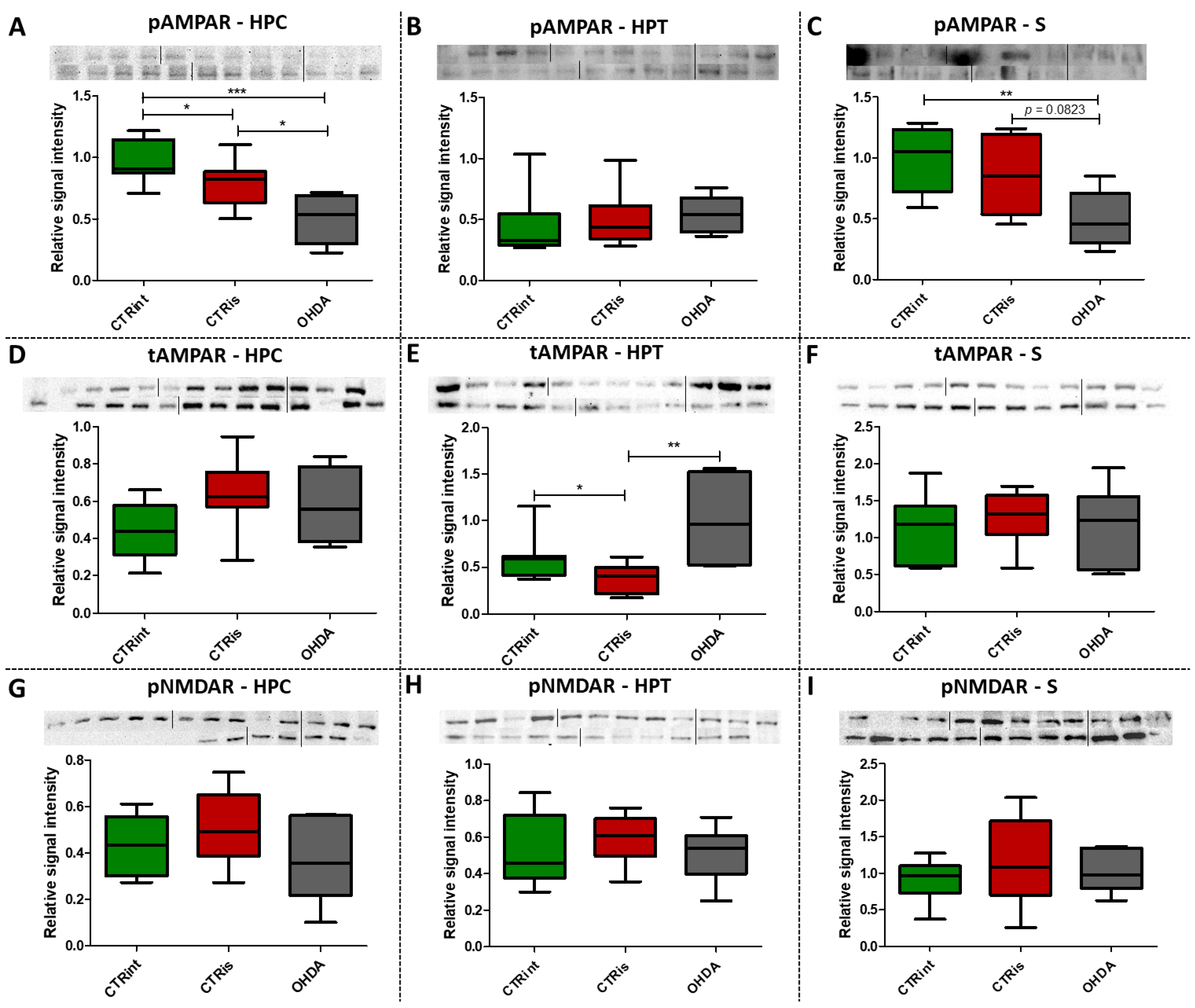 Biomedicines 11 00683 g004