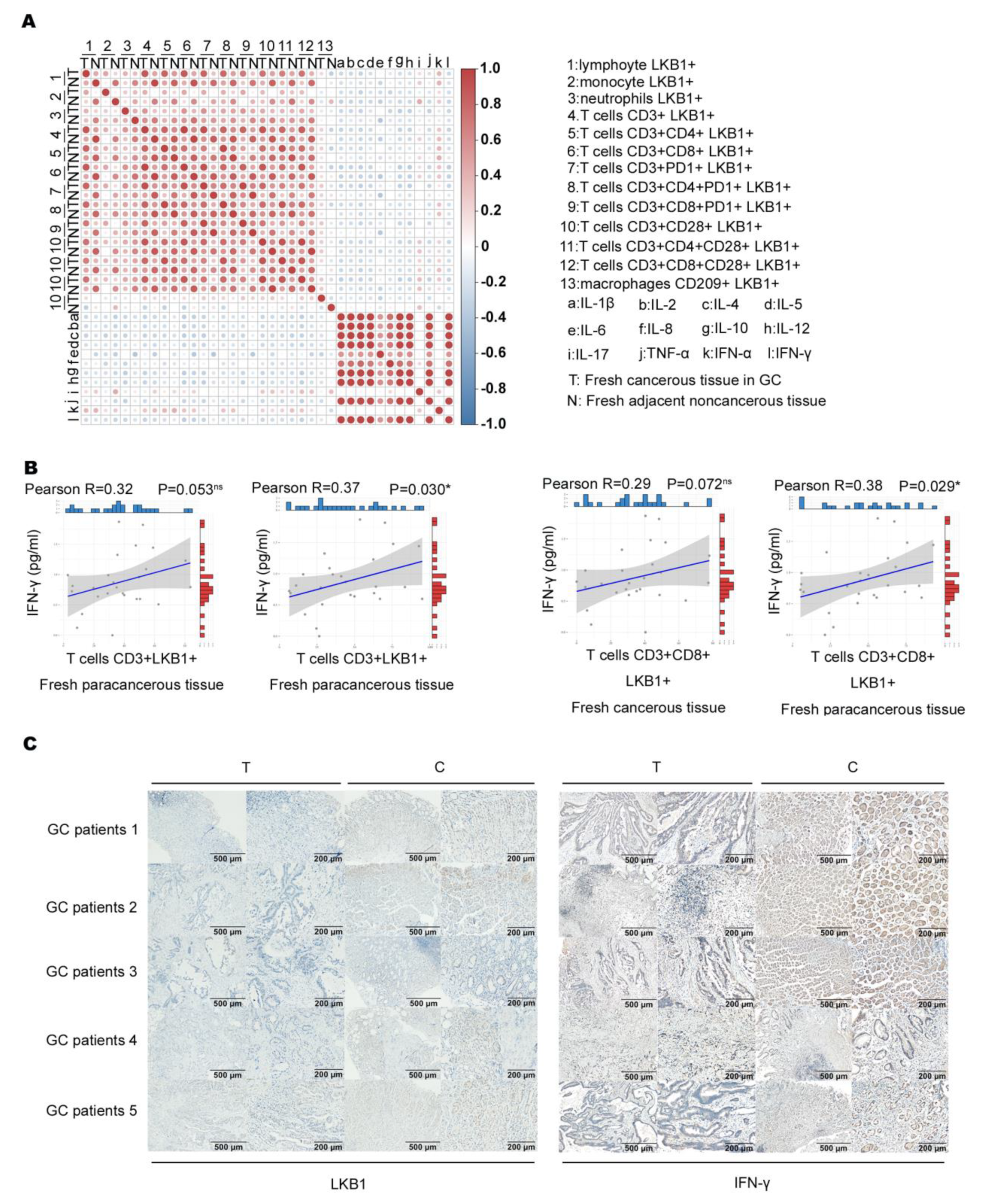 Biomedicines 11 00688 g004 Biomedicines 11 00688 g004