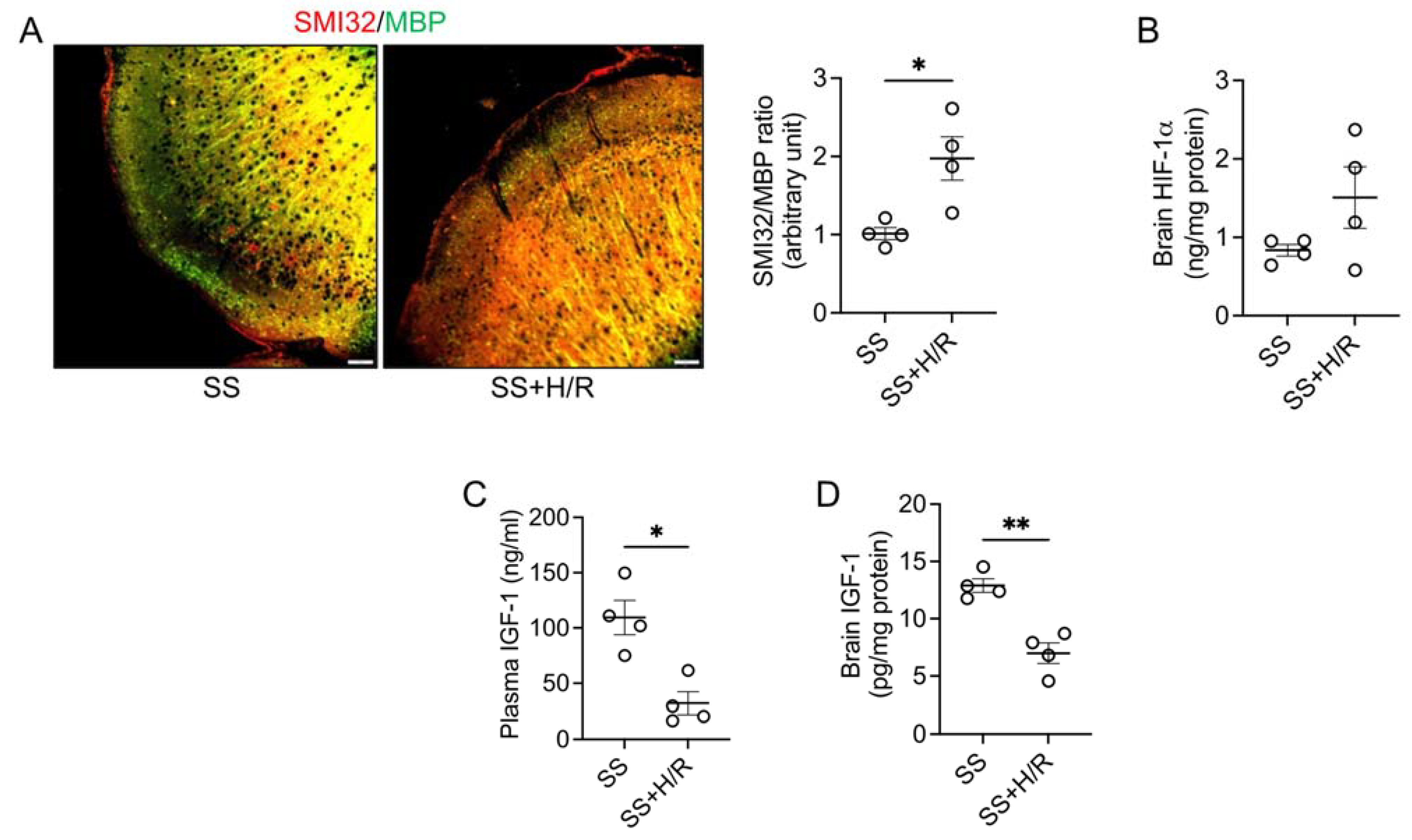 Biomedicines 11 00692 g001