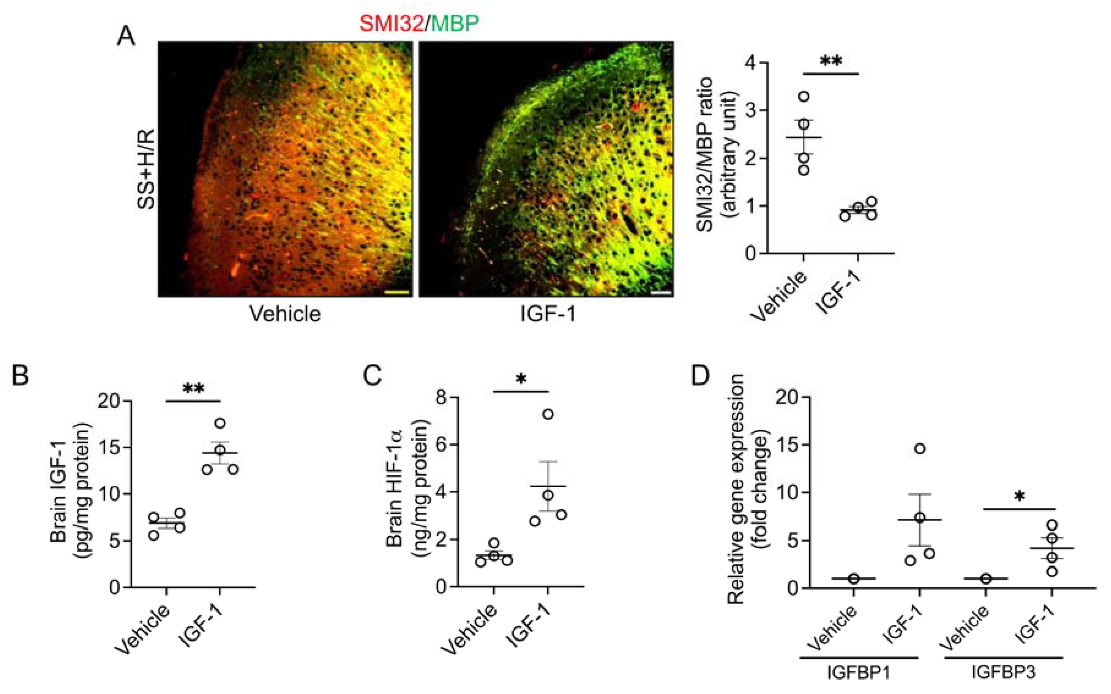 Biomedicines 11 00692 g002