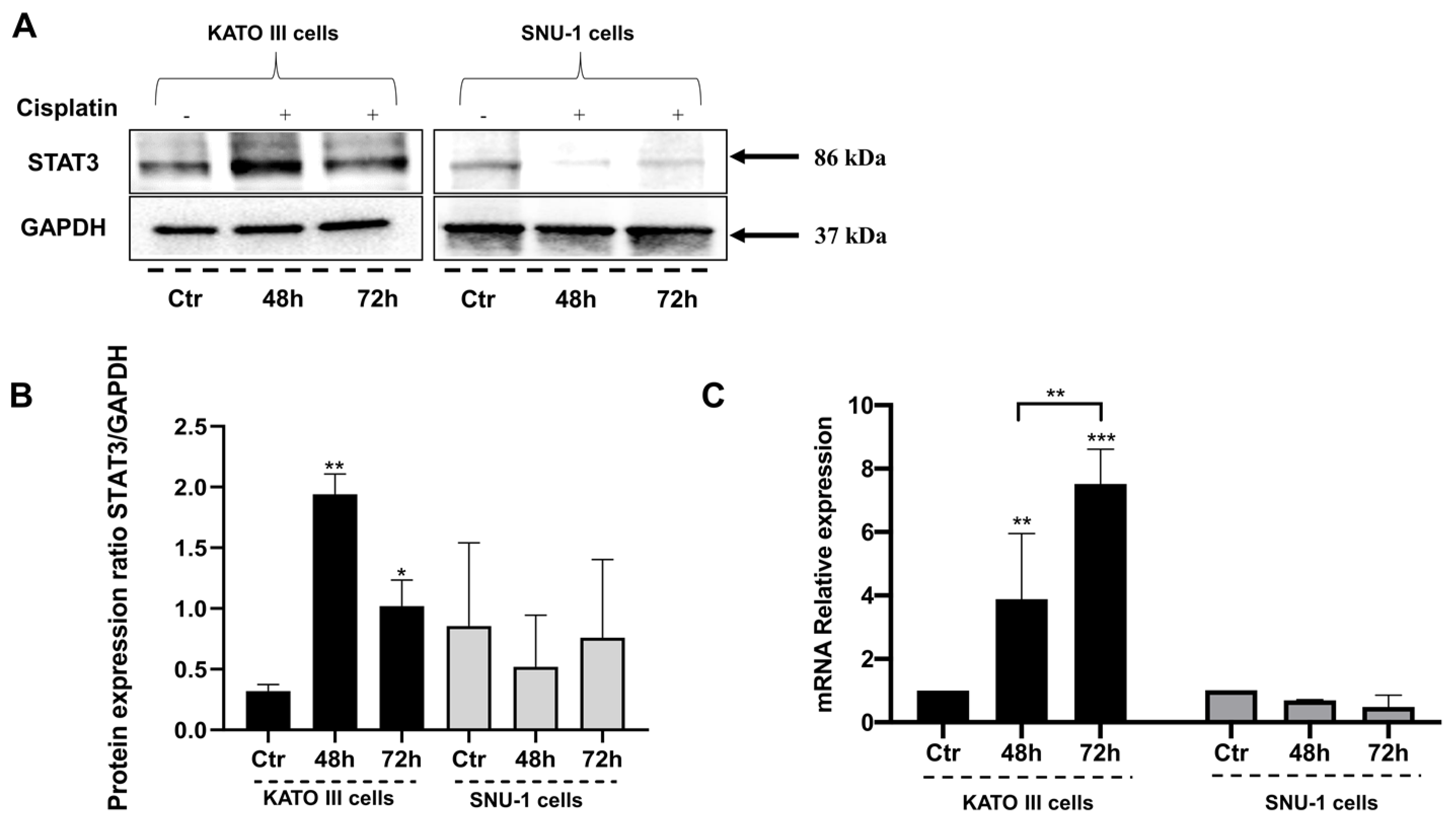 Biomedicines 11 00694 g002