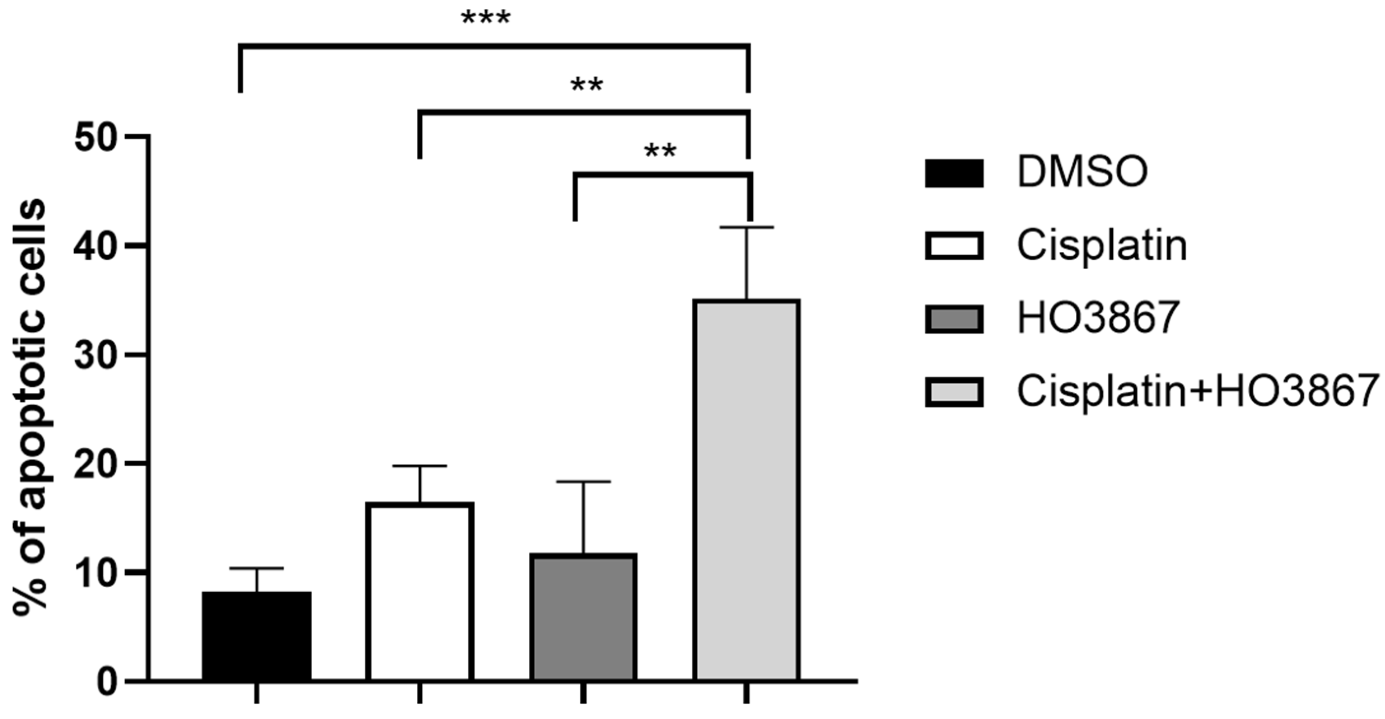Biomedicines 11 00694 g003