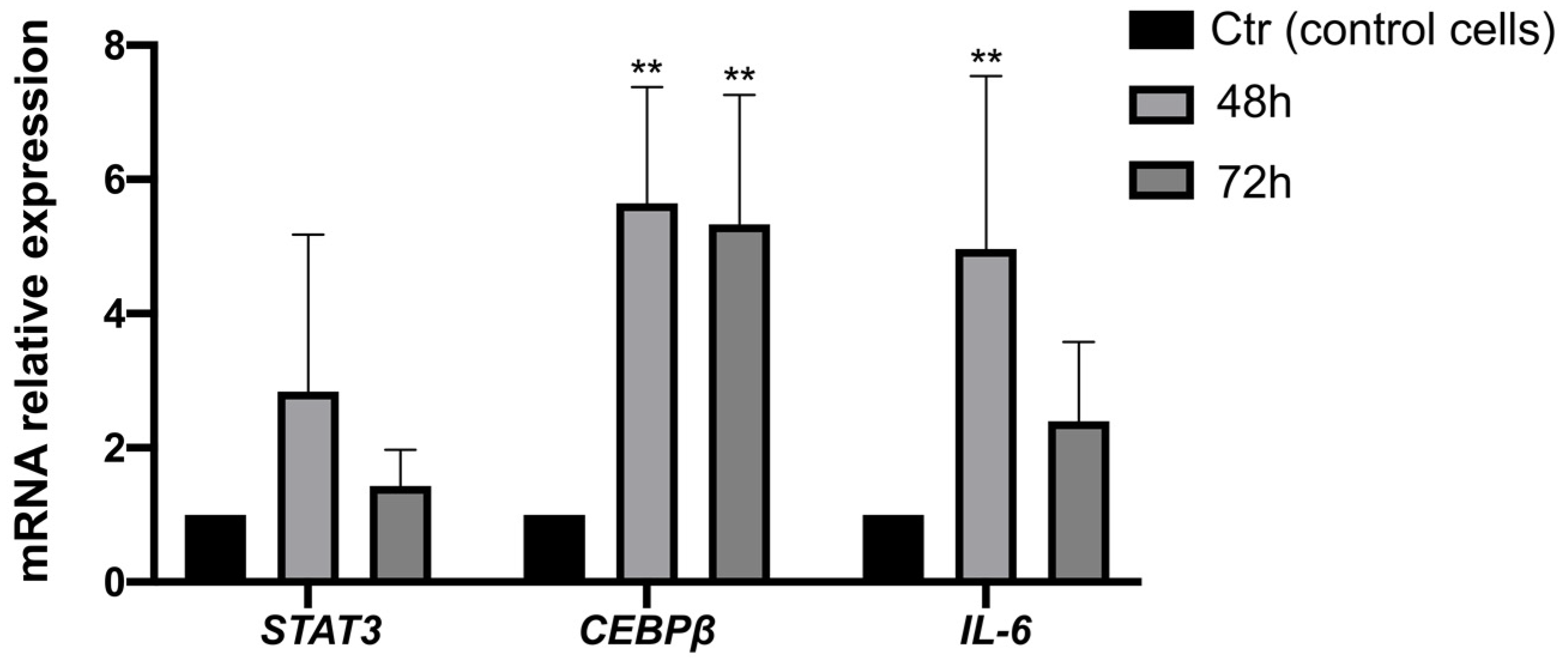 Biomedicines 11 00694 g004