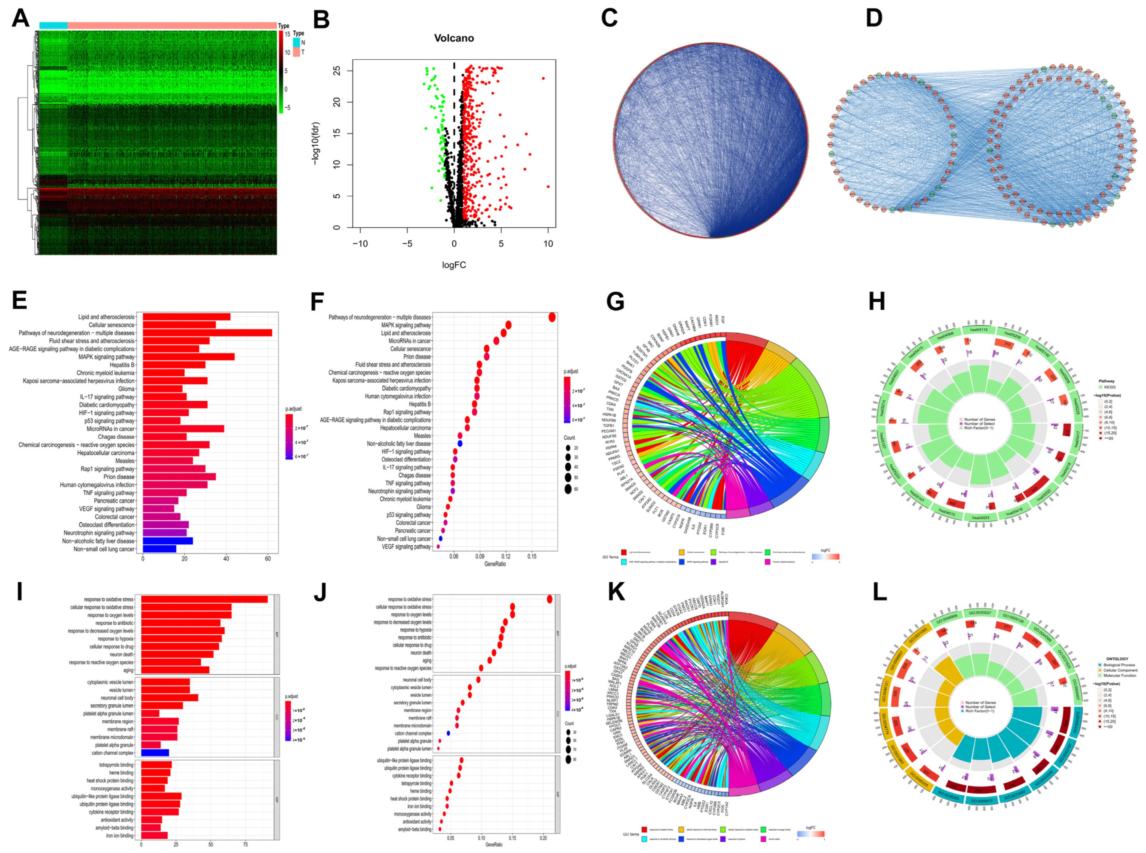 Biomedicines 11 00695 g001 Biomedicines 11 00695 g001