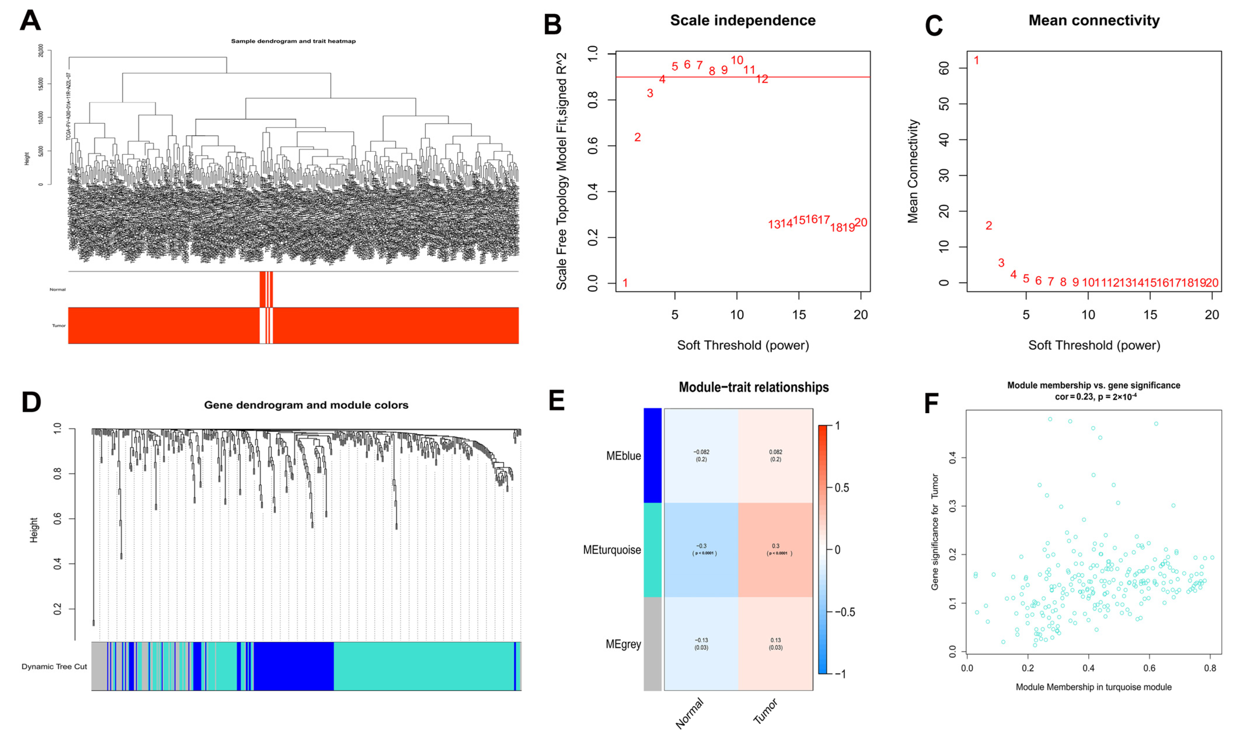 Biomedicines 11 00695 g002 Biomedicines 11 00695 g002