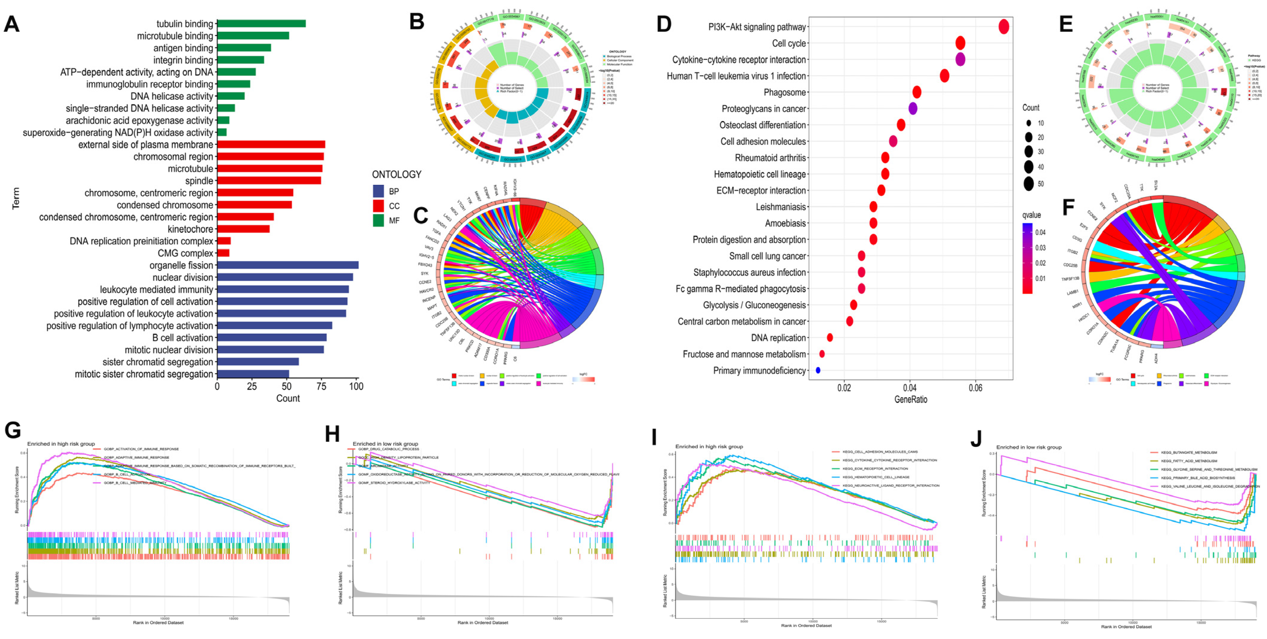 Biomedicines 11 00695 g007 Biomedicines 11 00695 g007