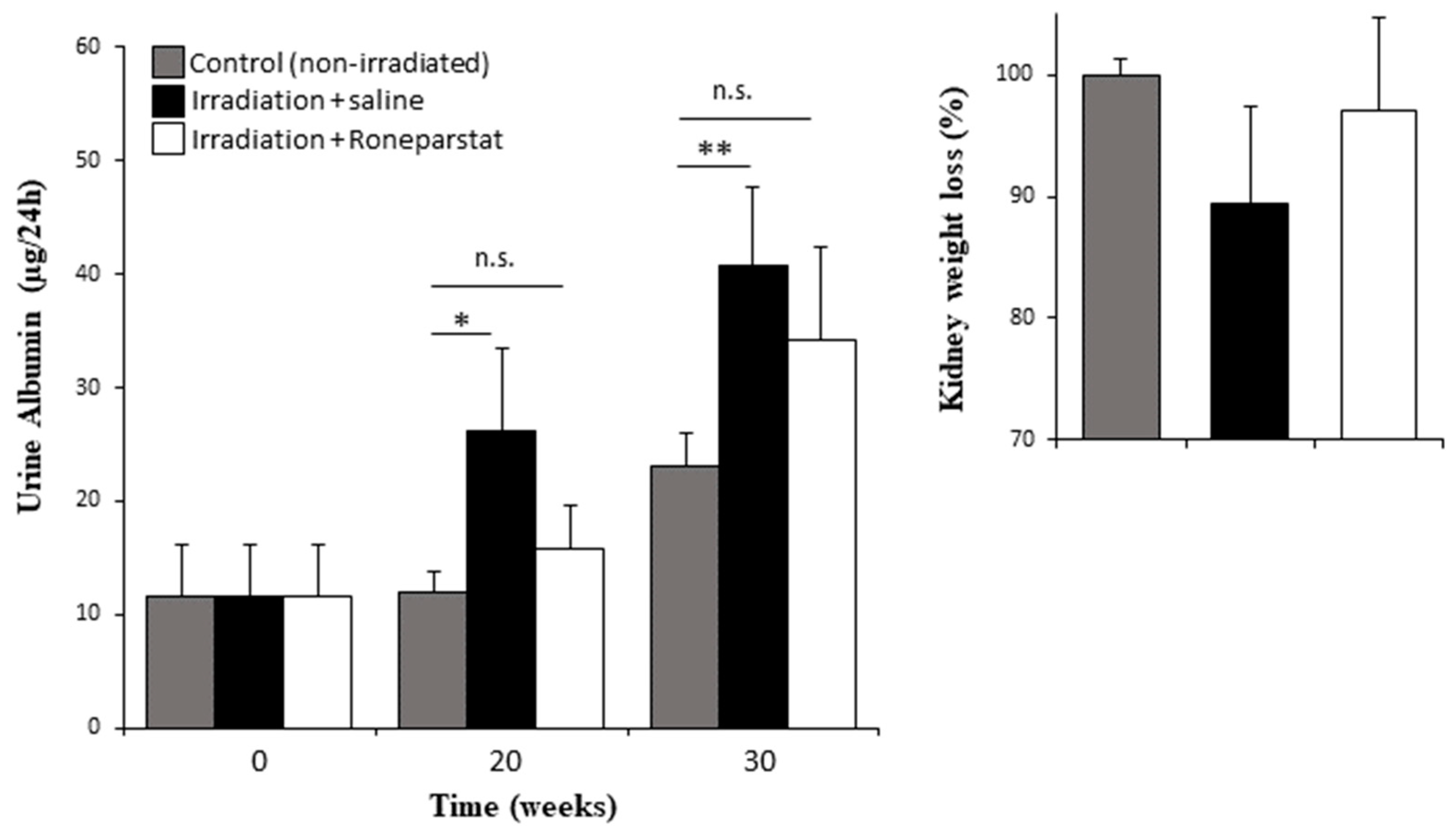 Biomedicines 11 00710 g003