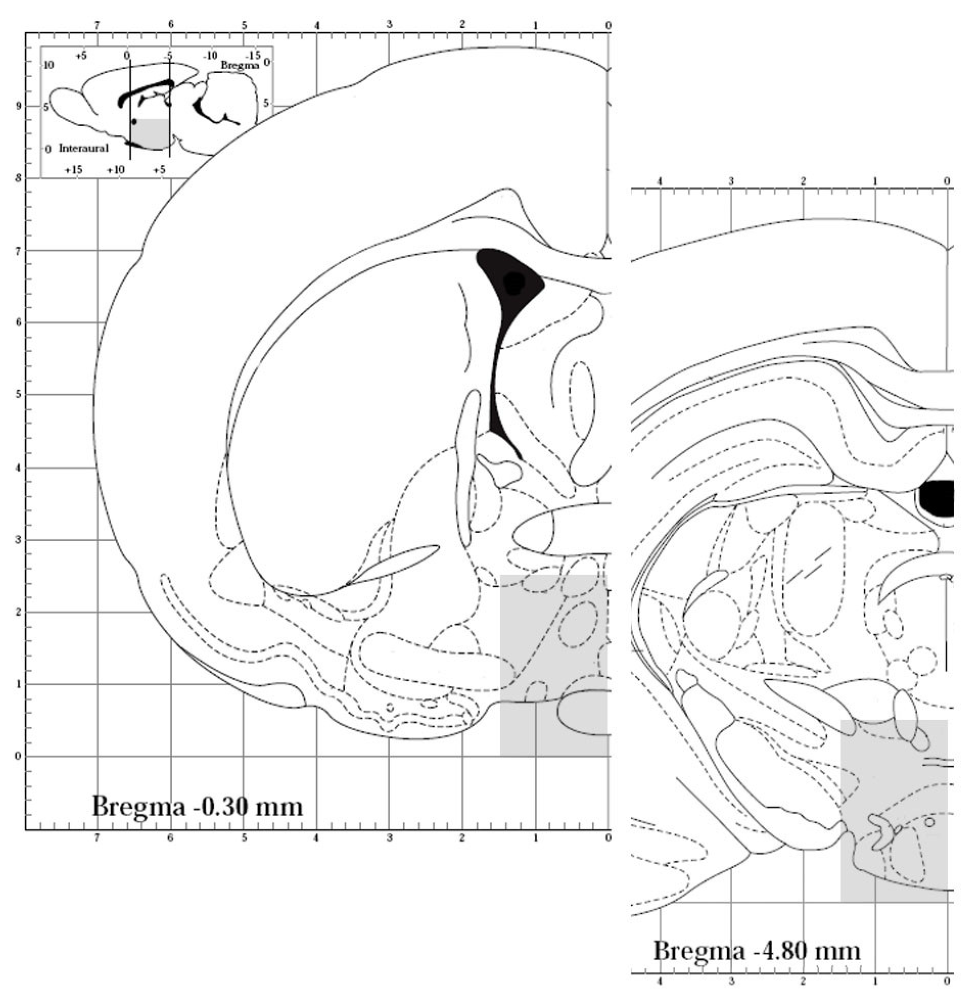 Biomedicines 11 00720 g001 Biomedicines 11 00720 g001