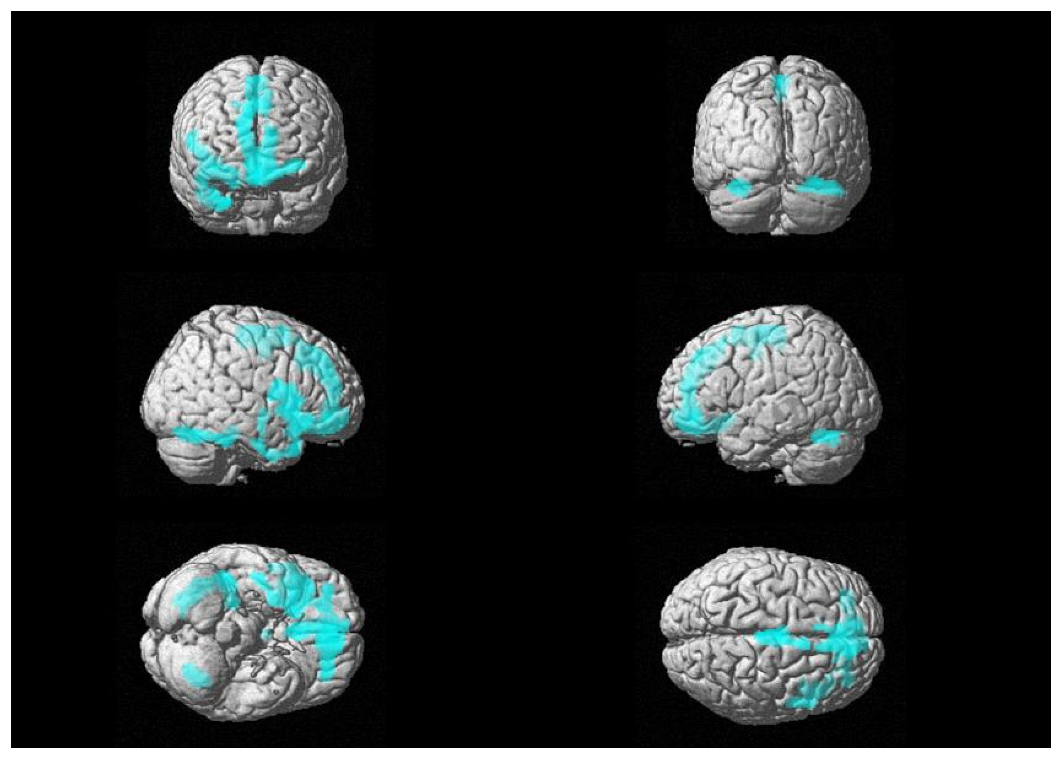 Biomedicines 11 00725 g001